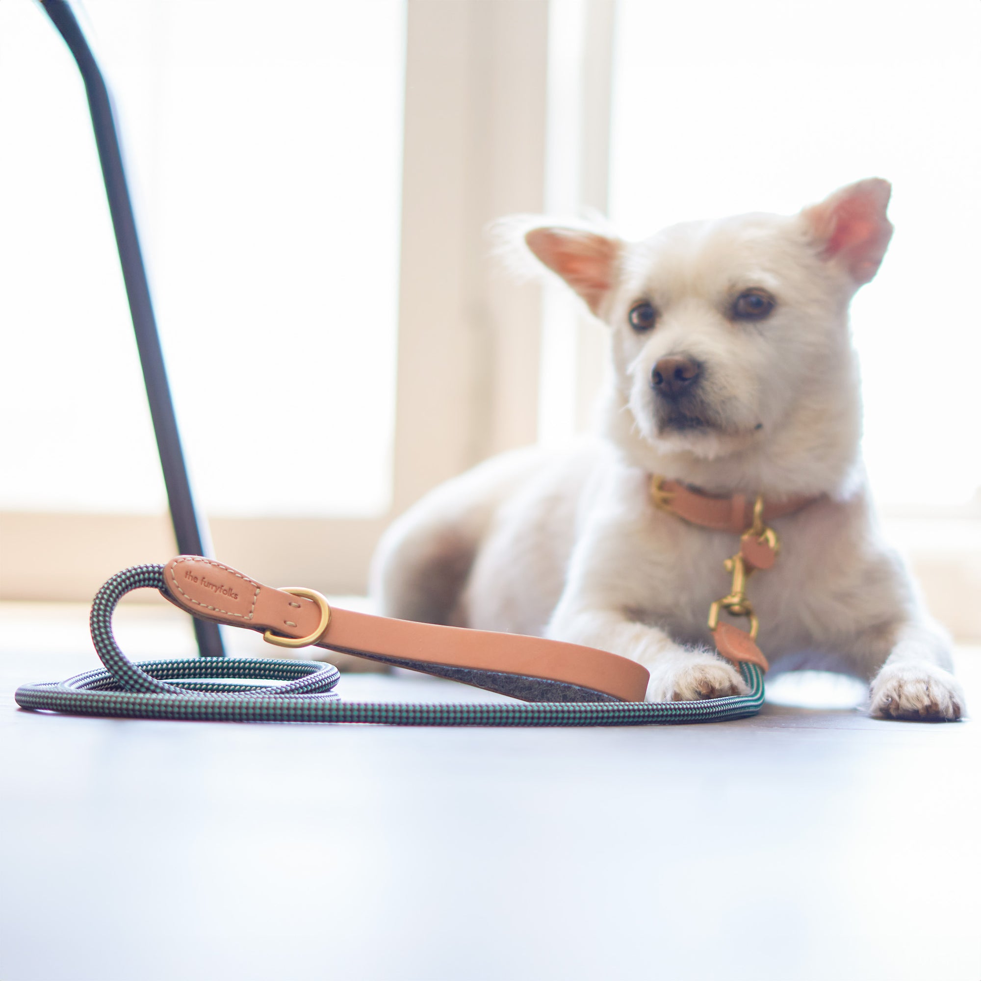 The image shows a small, white dog sitting on the floor next to a teal and black woven leash with tan leather accents and gold-tone hardware, which likely belongs to "The Furryfolks" brand. The leash and collar set appears to be of high quality, and the dog is wearing a matching collar. The soft, natural light from the window creates a warm, inviting atmosphere.