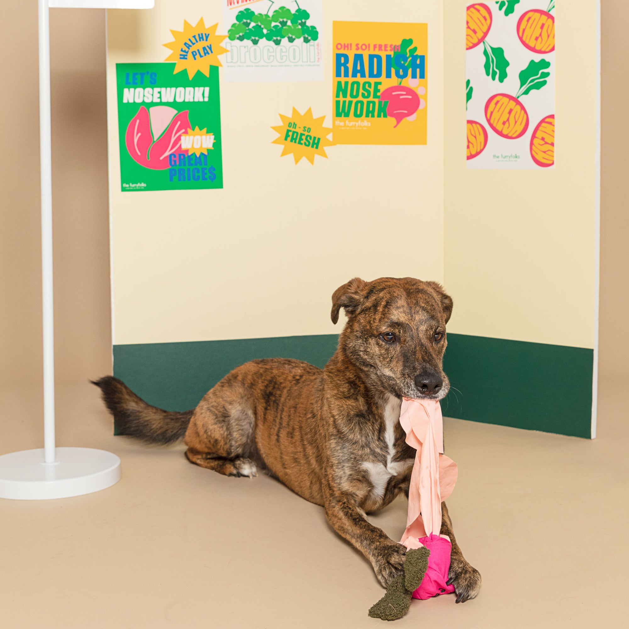 In the photo, a brindle-coated dog is sitting on the floor, holding a pink radish-shaped toy in its mouth, against a backdrop of colorful posters with slogans promoting nosework and healthy play. The posters feature playful graphics of radishes and broccoli, with phrases like "Let's Nosework!" and "Oh So Fresh", likely part of a pet shop or an event focused on pet enrichment. The scene captures the essence of engaging pets with stimulating activities.