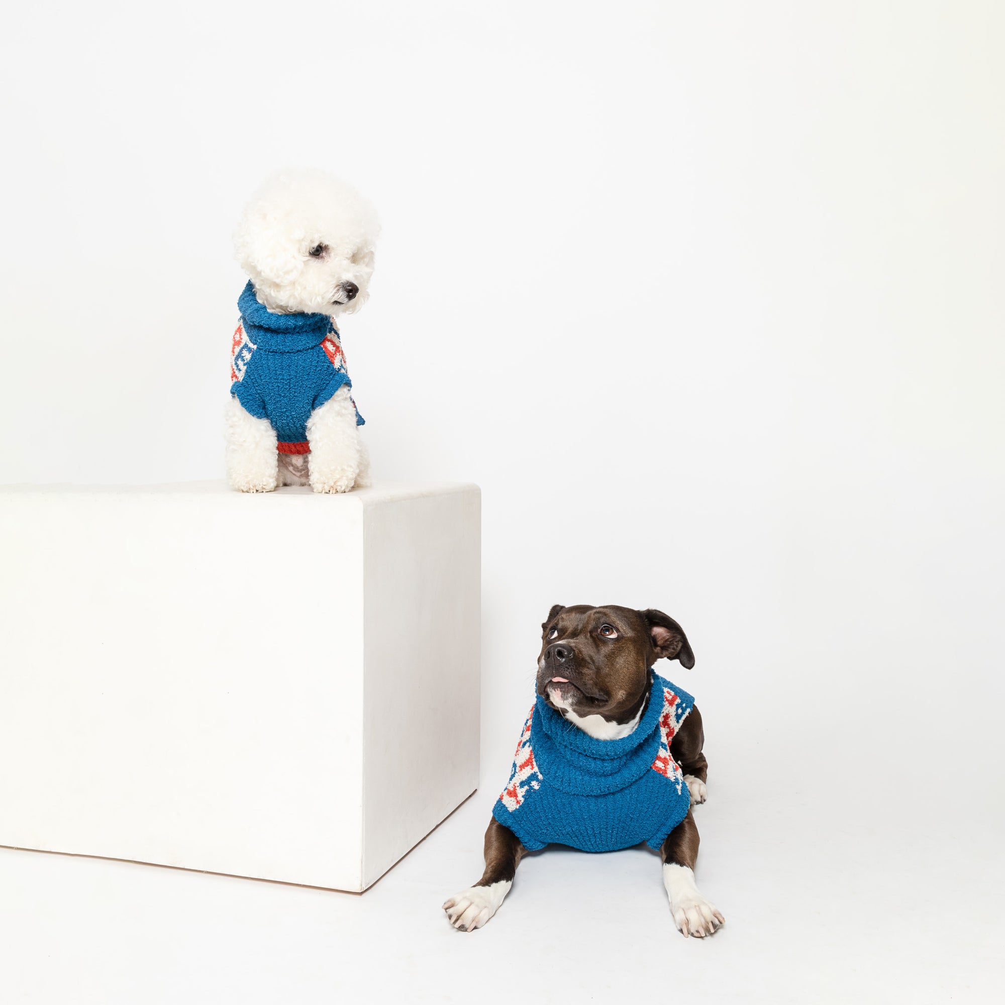  A small white dog perched on a ledge and a larger brown dog sitting on the floor both look away from the camera, each wearing blue knit sweaters with red and white "Treat" pattern.