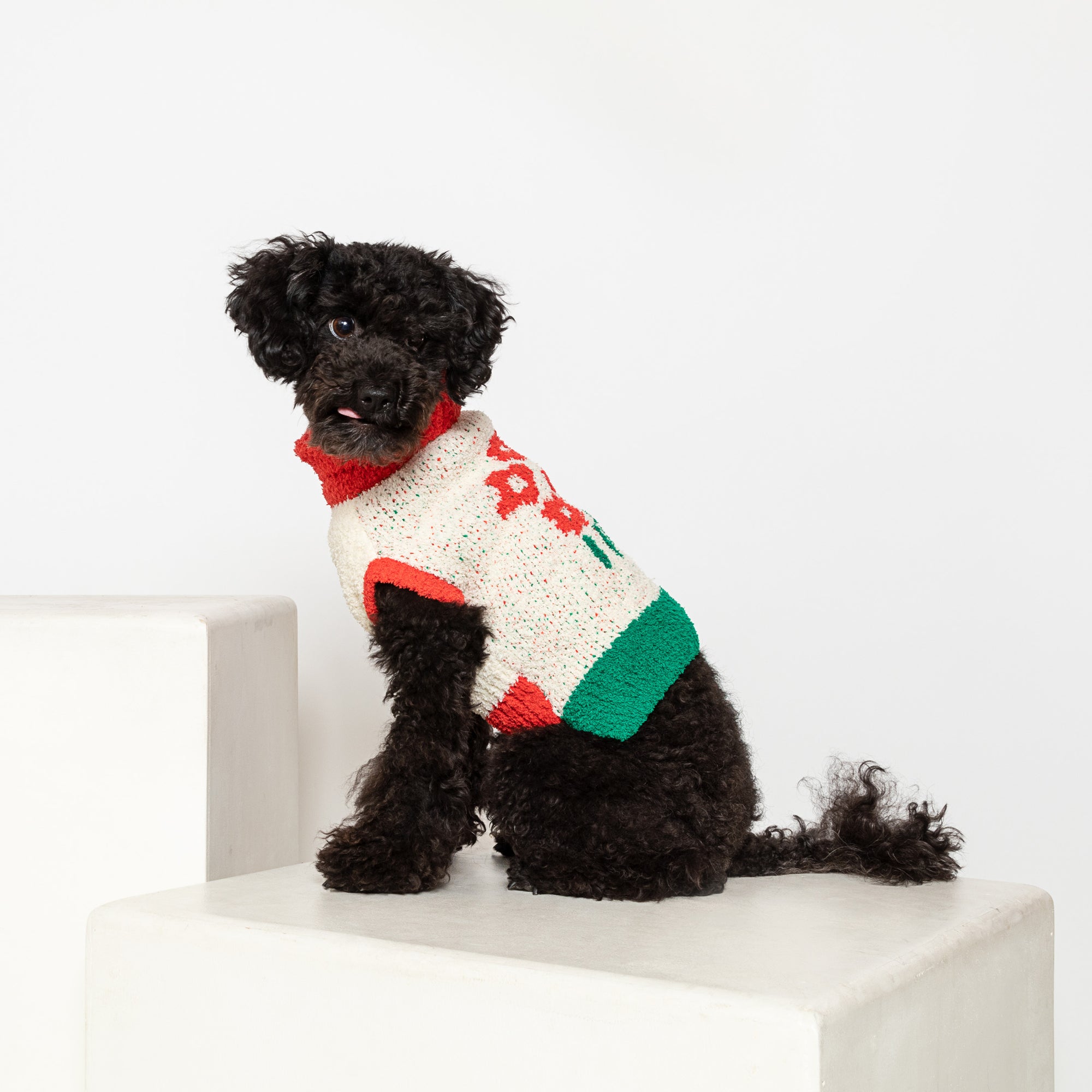 Black poodle in "The Furryfolks" brand red and green flower sweater on a white block.
