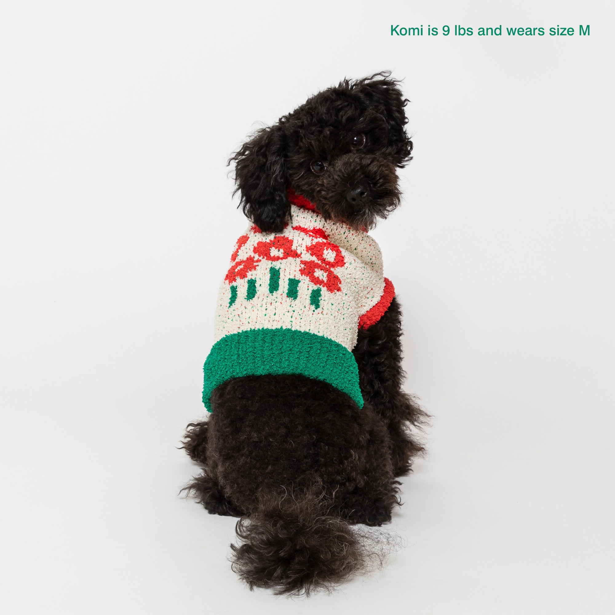 Poodle named Komi, 9 lbs, in medium "The Furryfolks" flower sweater, against a white backdrop.