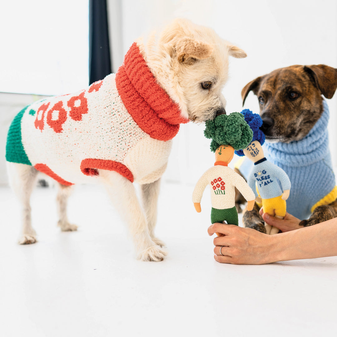 Two dogs in knit sweaters, one sniffing a plush toy with a blue 'afro' held by a person's hand against a white backdrop.