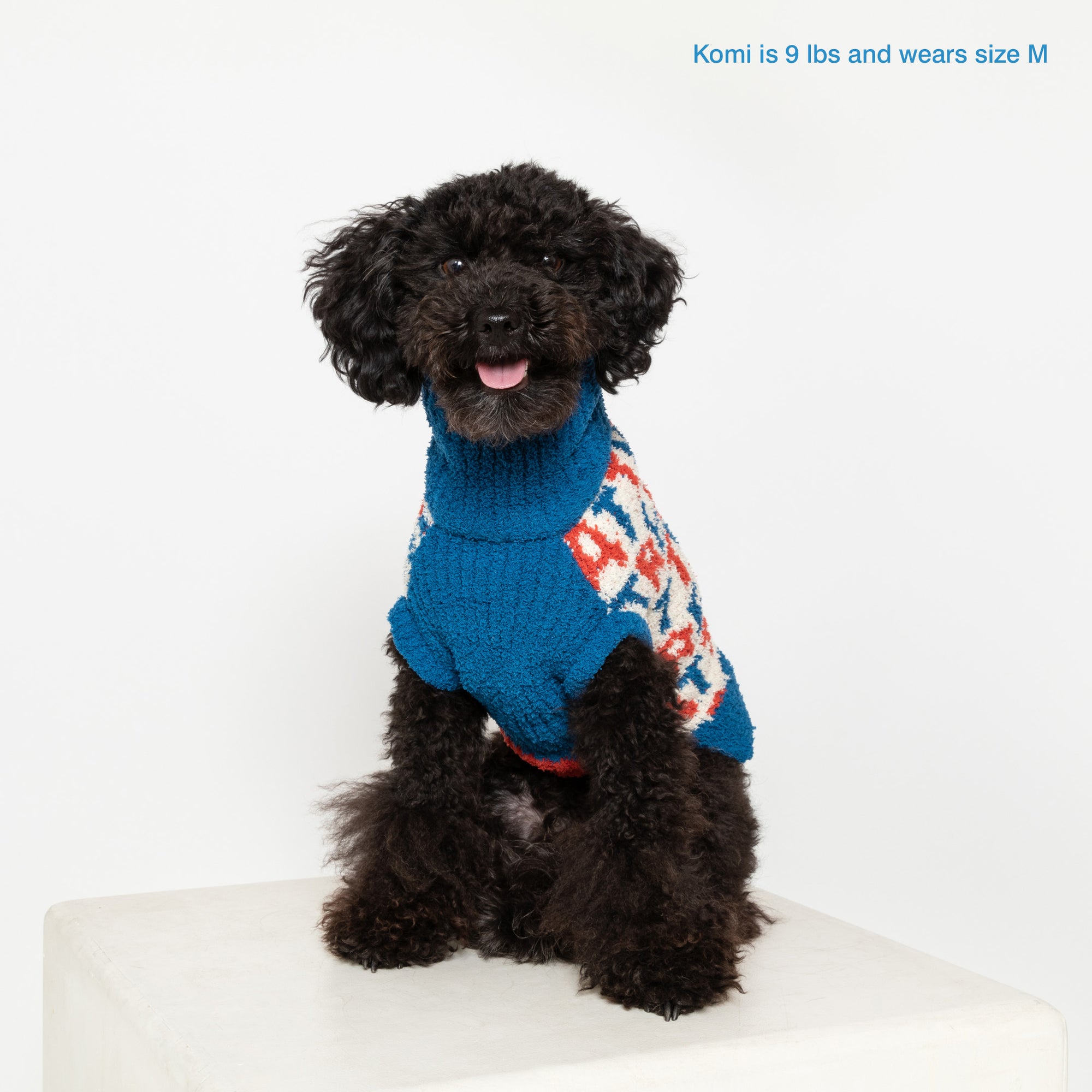 A charming black poodle named Komi weighs 9 lbs and looks cheerful in a size M blue sweater, adorned with vibrant red and white "Treat" lettering, perfect for its petite stature.