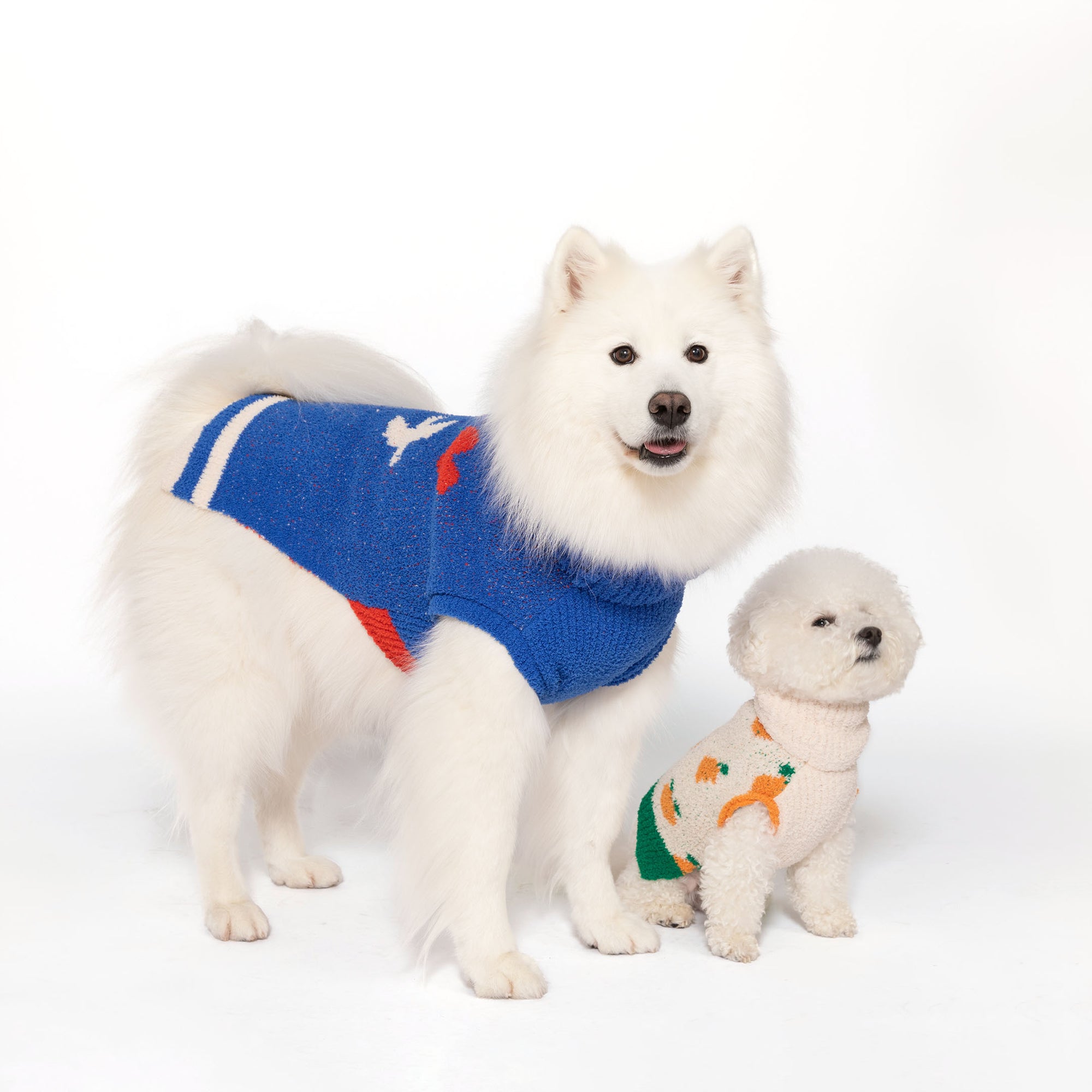 A white Samoyed and a small Bichon Frise wearing "The Furryfolks" sweaters, the larger with a love bird design, posed on a white background.