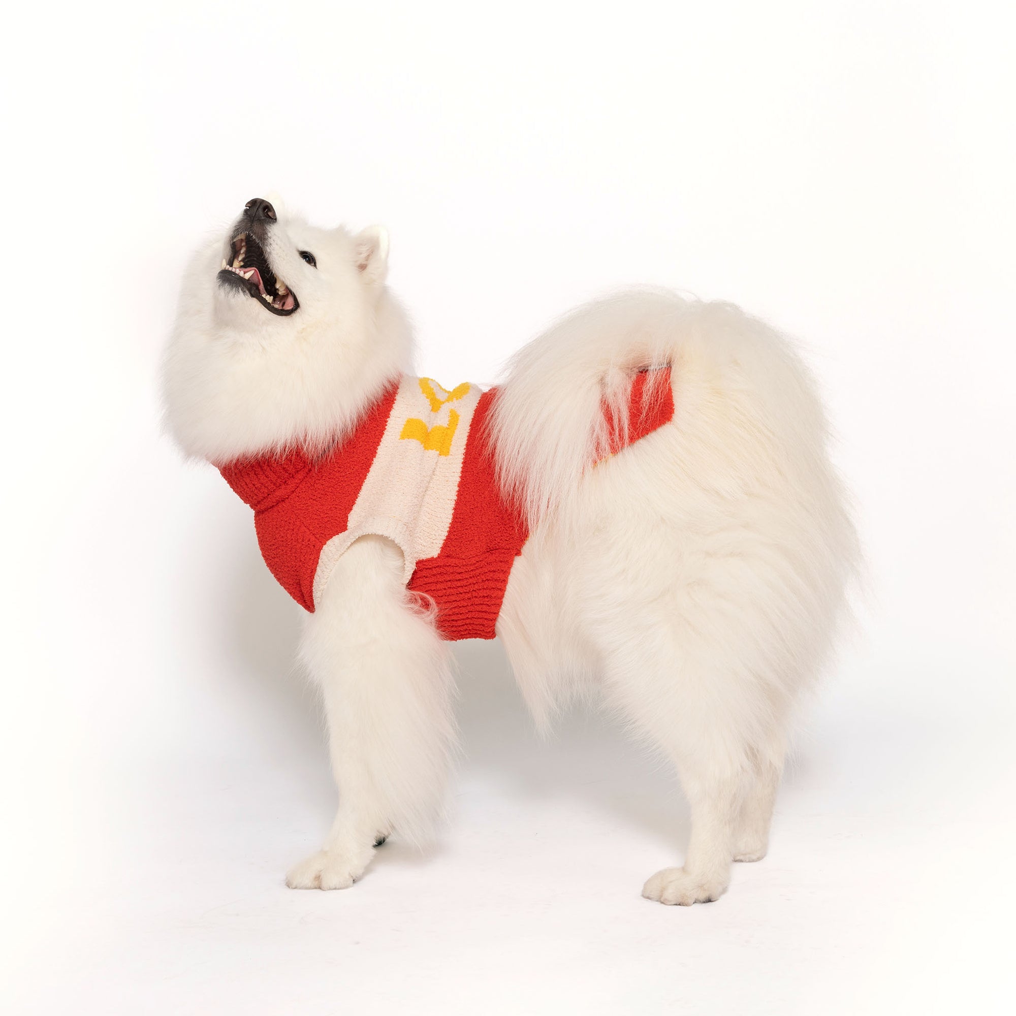  An exuberant Samoyed dressed in The Furryfolks red and white sweater is captured mid-bark, offering a glimpse of its playful personality. The sweater's bold red hue highlights the dog's snowy white coat, complementing its spirited expression.