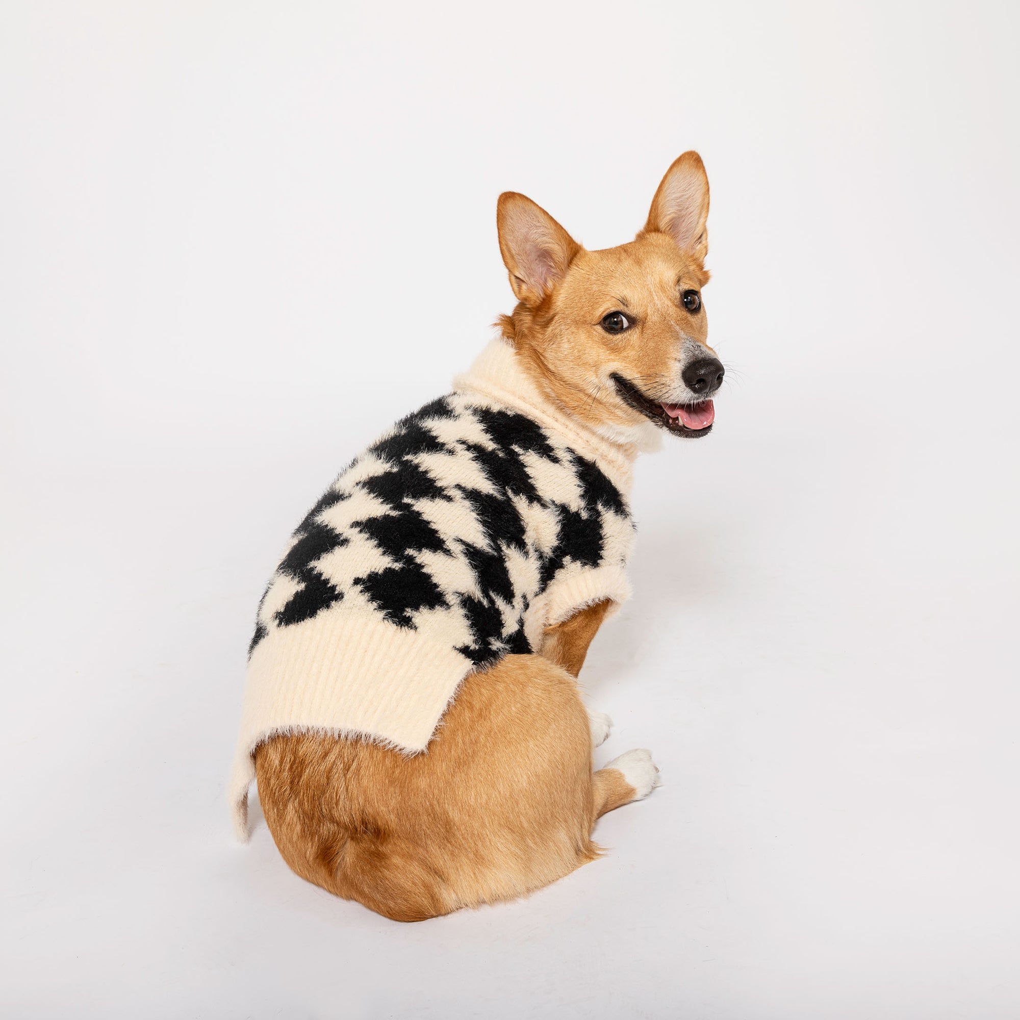 Cheerful Corgi dog seated in profile, donning a beige houndstooth sweater, glancing back with a happy expression, against a white background.