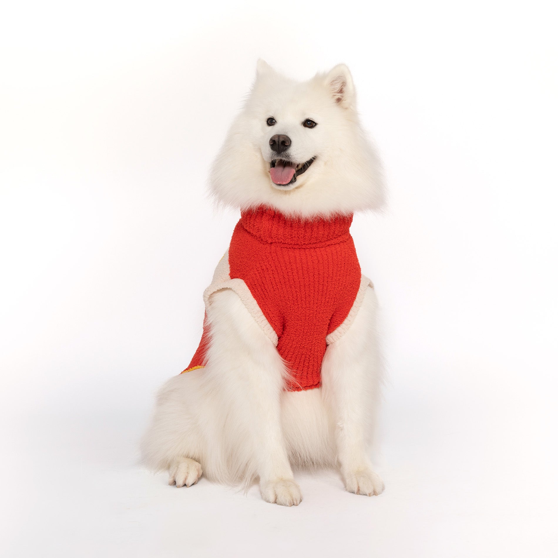 A cheerful Samoyed wearing a cozy red turtleneck sweater from The Furryfolks collection, posed against a white backdrop. The sweater's snug fit and vibrant color contrast beautifully with the dog's fluffy white fur.