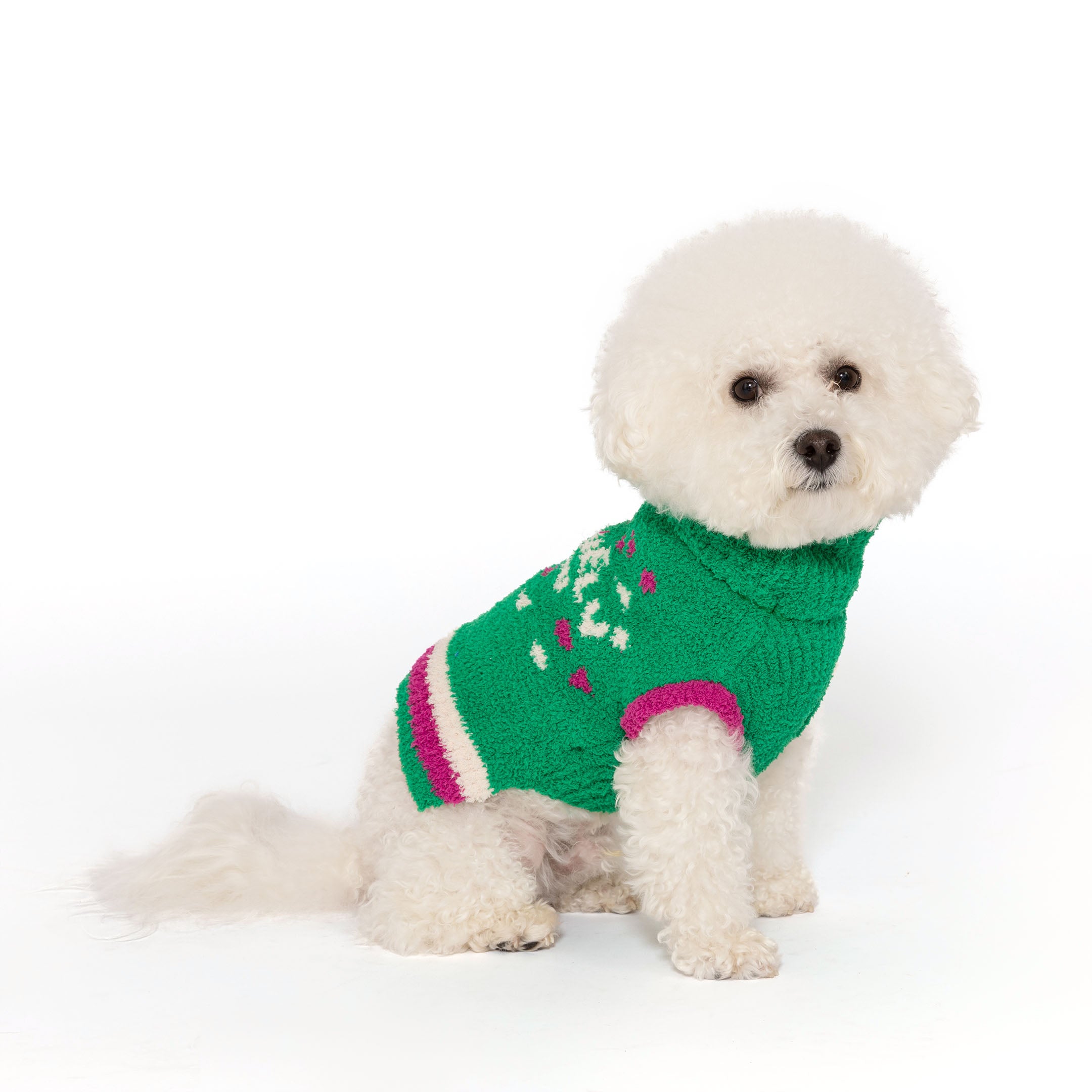 A fluffy white dog poses in a vibrant green knitted sweater with pink and white heart accents and a high collar, looking off-camera with a soft background.