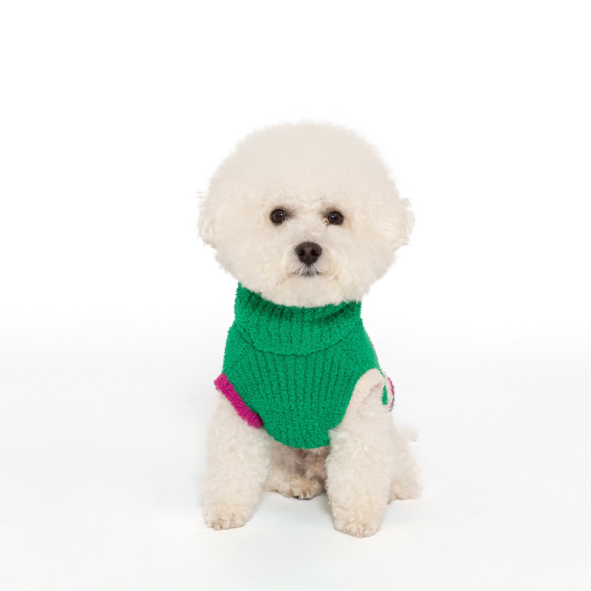  A small white dog wearing a bright green sweater with a pink trim, the text "Uniquely You" patterned on the back, sitting against a plain background.