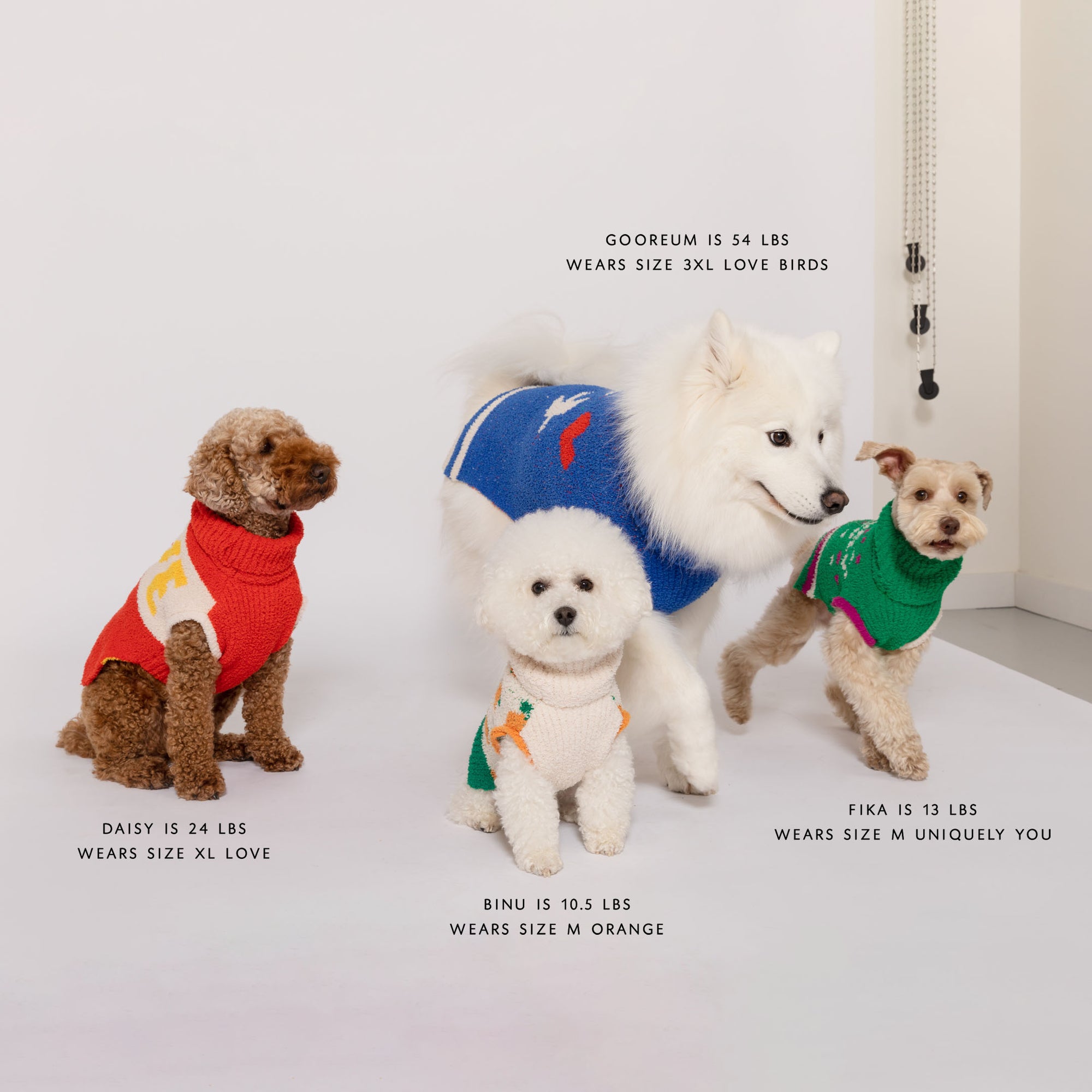 A group of four dogs of varying breeds and sizes, each wearing different sweaters from "The Furryfolks" collection. From left to right: Daisy, 24lbs,  a small dog wearing a red 'Love' sweater, size XL; Binu, 10.5, a white fluffy dog in an orange sweater with carrot motifs, size M; GOOREUM, 54lbs, a large white dog in a blue 'Love Birds' sweater with heart and bird motifs, size 3XL; Fika, 13lbs, a small dog in a green 'Uniquely You' sweater, size M.