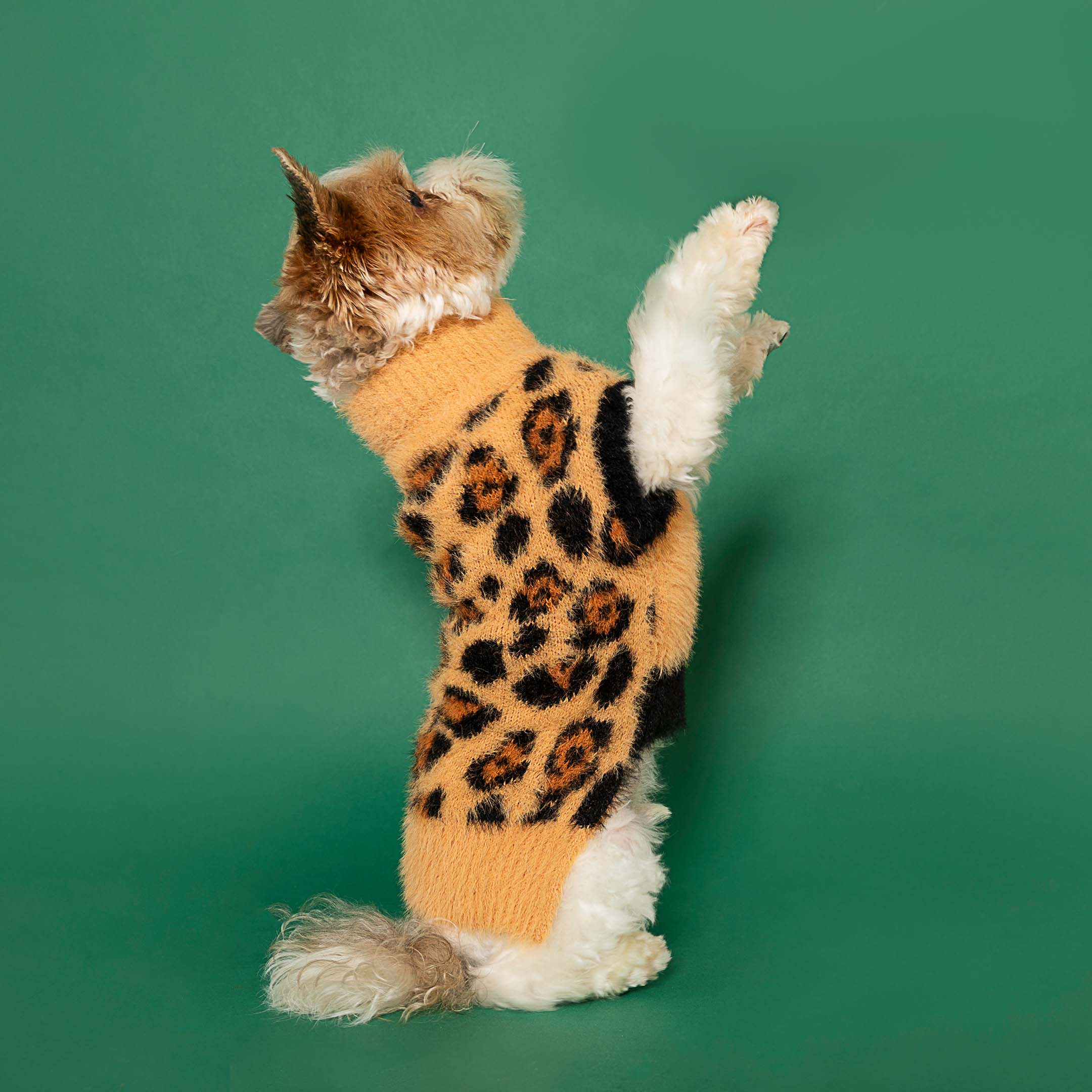 Leopard sweater high quality shirt