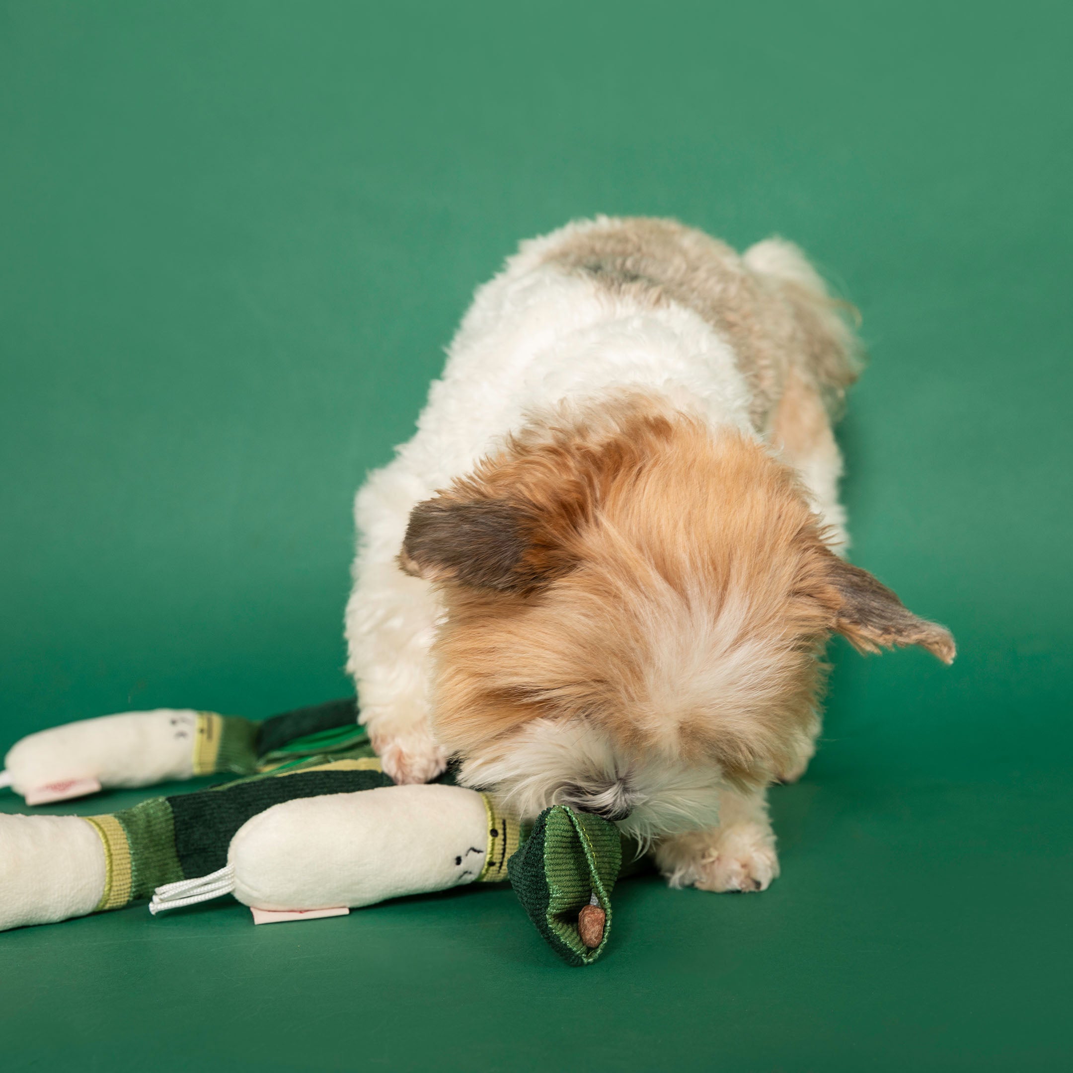 Green Onion Nosework Dog Toy the furryfolks