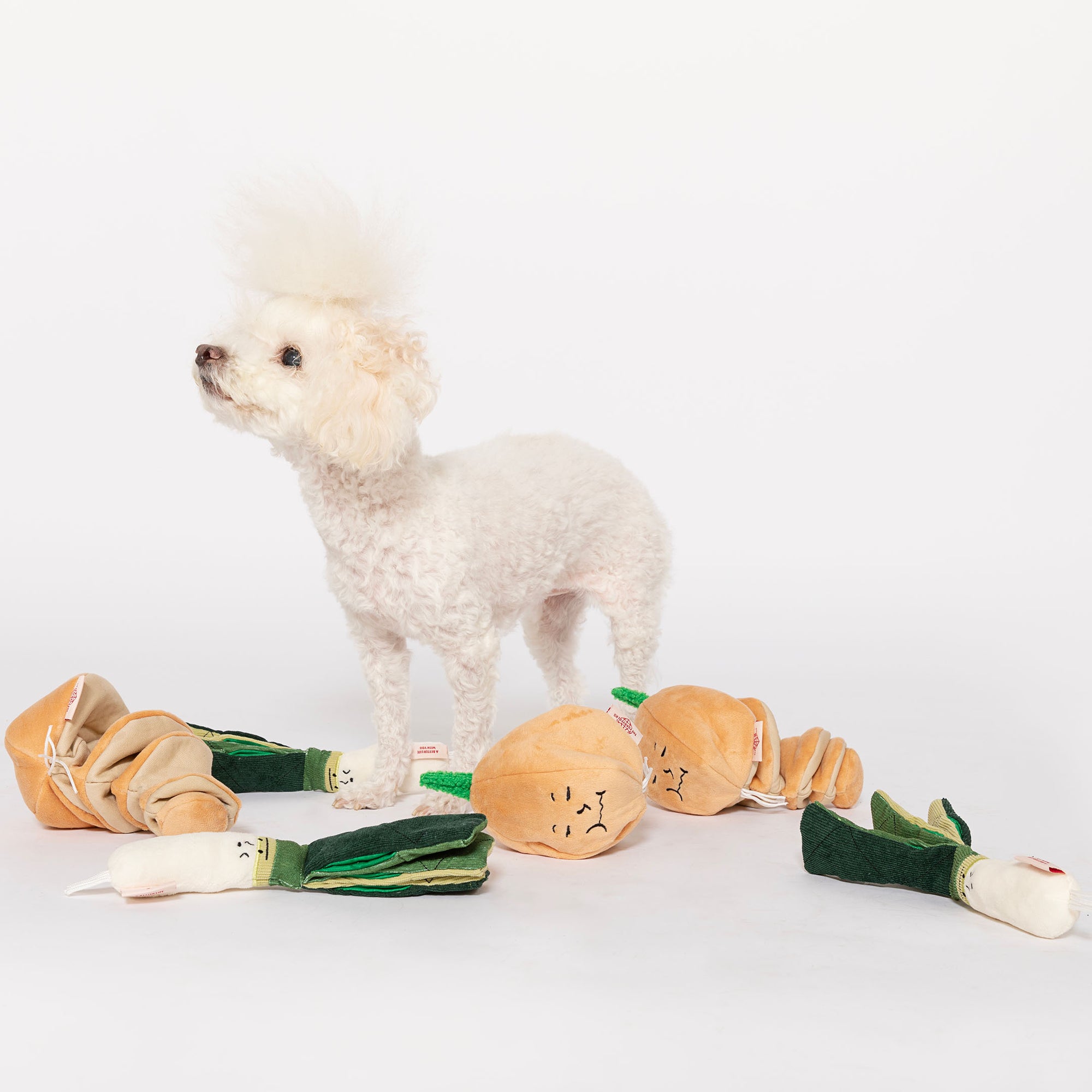 a white poodle with a stylishly fluffy head of hair, standing alert among various yellow onion-shaped plush toys, some of which are opened to reveal layers and compartments. This setting emphasizes the interactive nature of the toys, designed for cognitive stimulation and play for dogs.