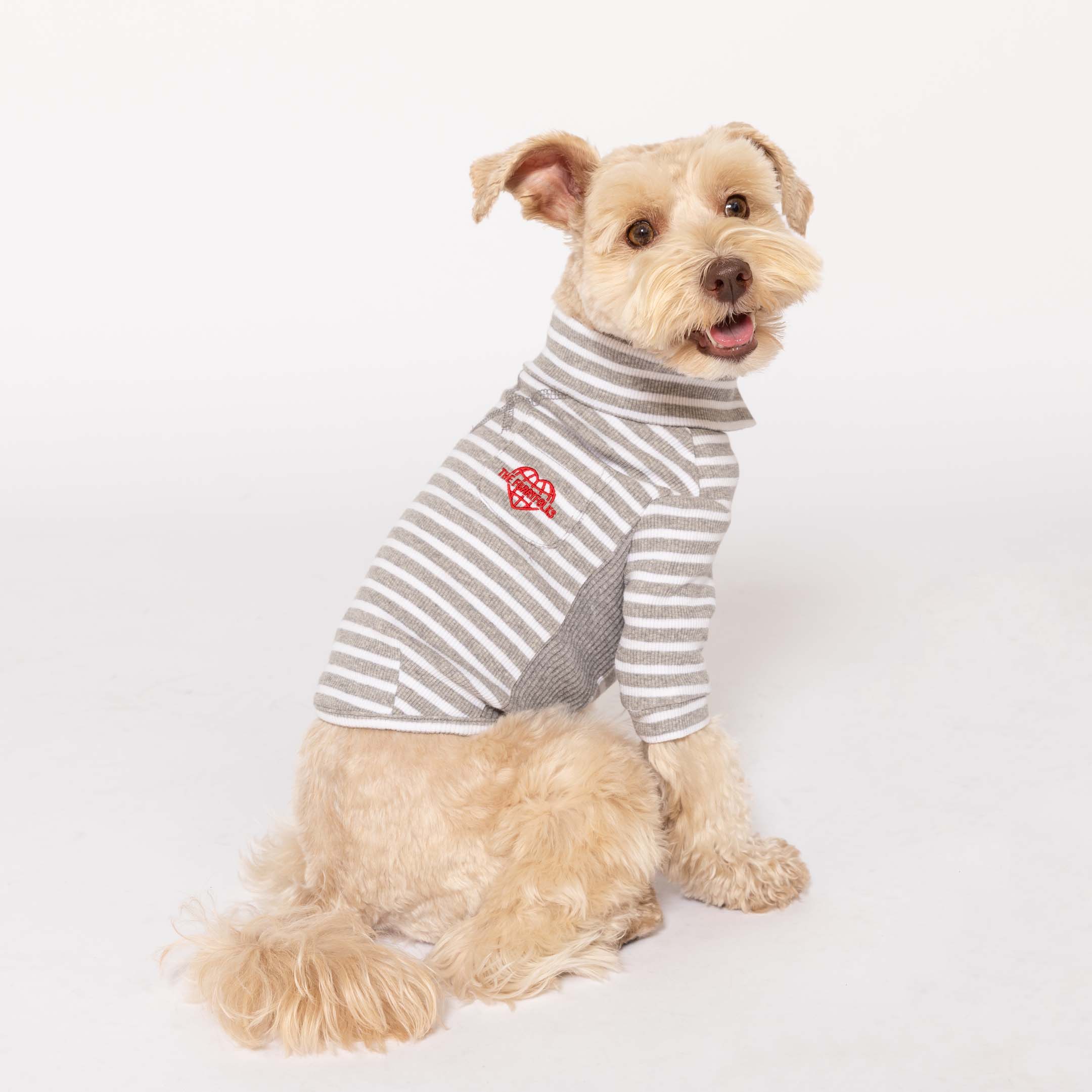 Adorable Schnauzer in a  Heather gray striped turtleneck with a playful heart logo, posing with a cheerful expression.