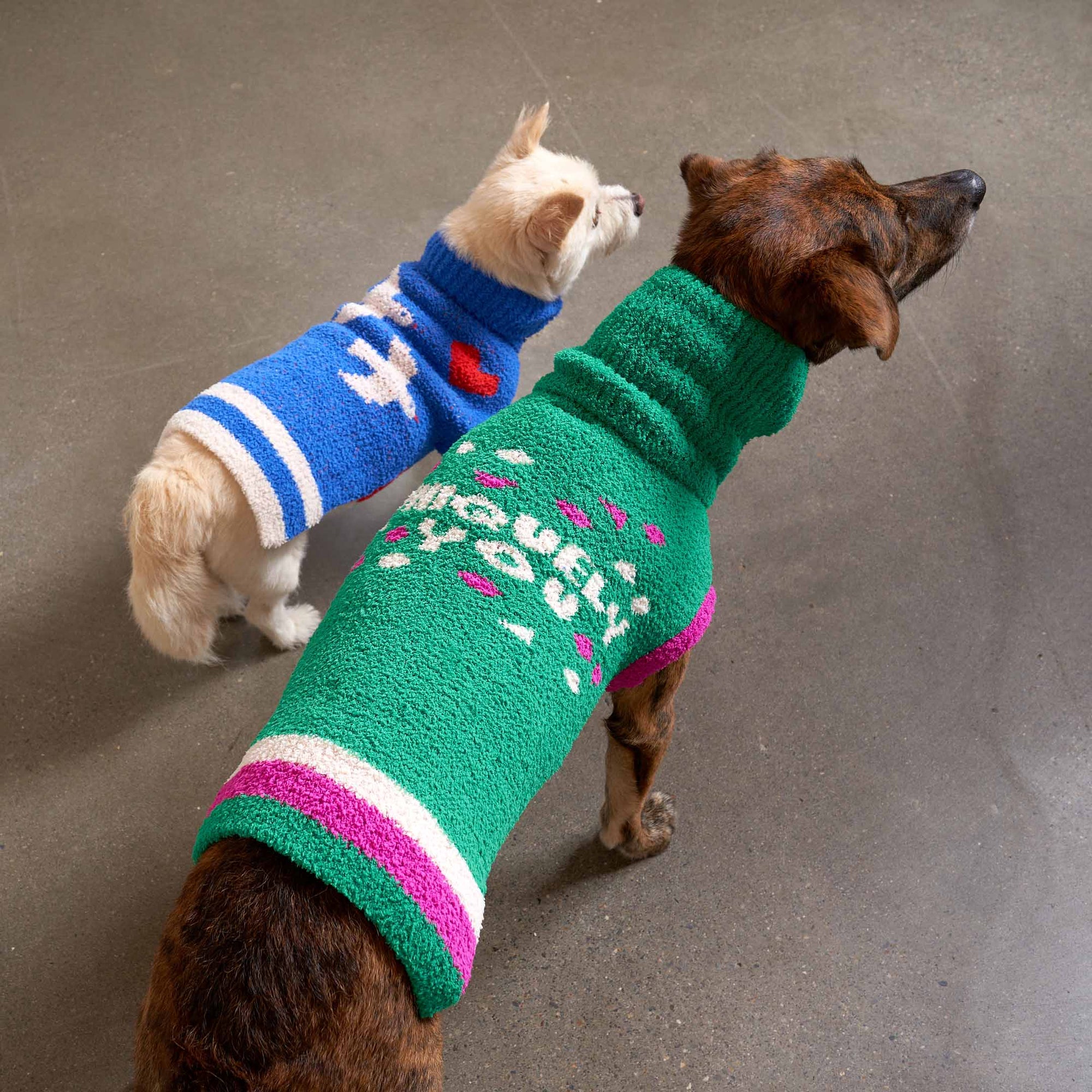  A brindle dog in a green sweater and a tan dog in a blue sweater, both from "The Furryfolks", on a grey floor.