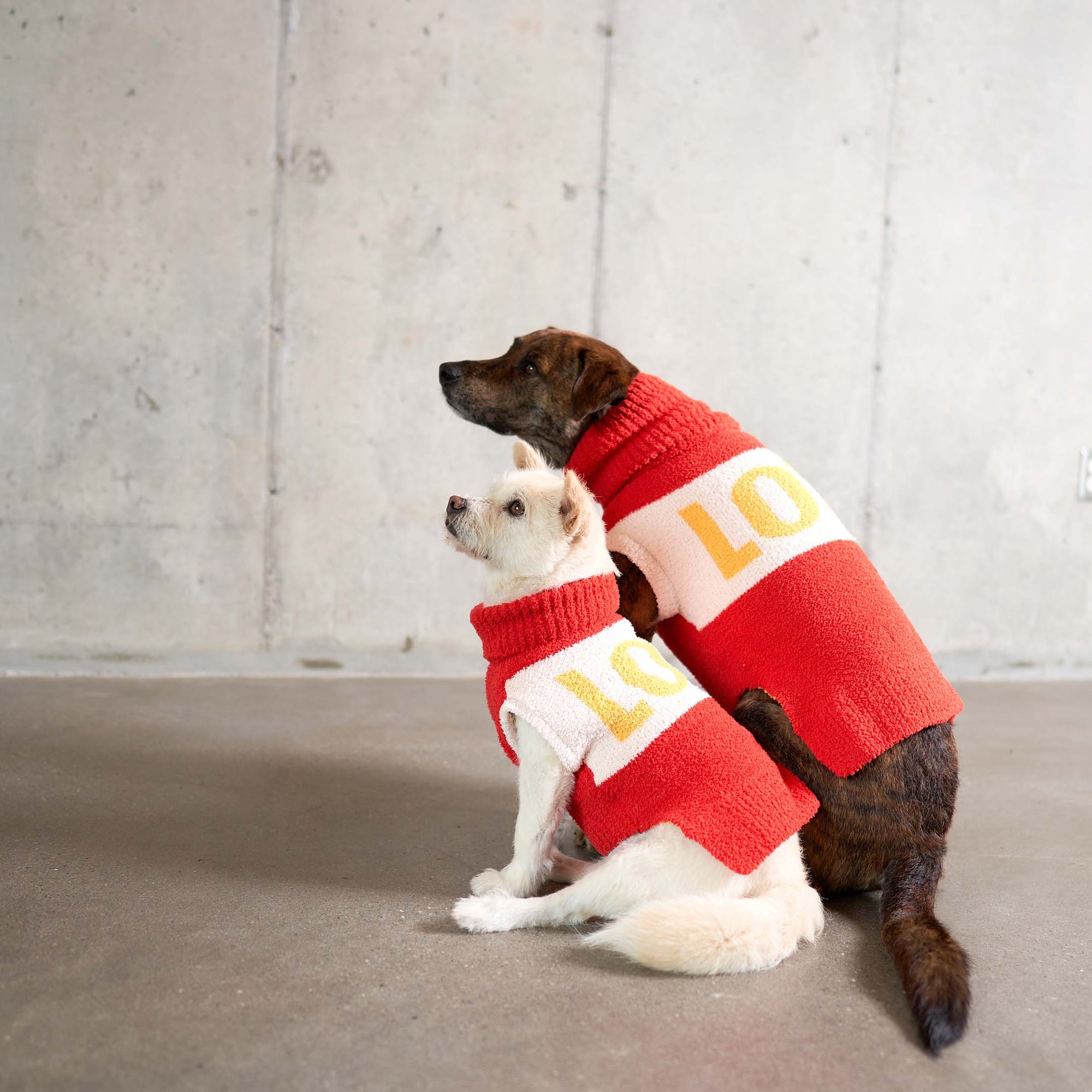 A brindle and a white dog are adorned with bold red sweaters that spell "LOVE," showcasing a delightful display of pet fashion against a minimalist backdrop.