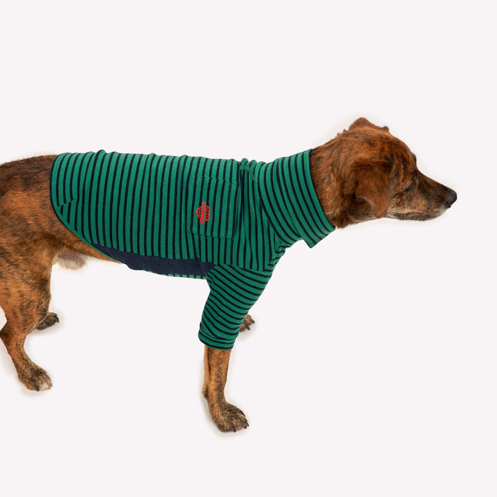 Side view of a brindle dog wearing a green striped shirt, complete with an embroidered logo, for a fashionable look.