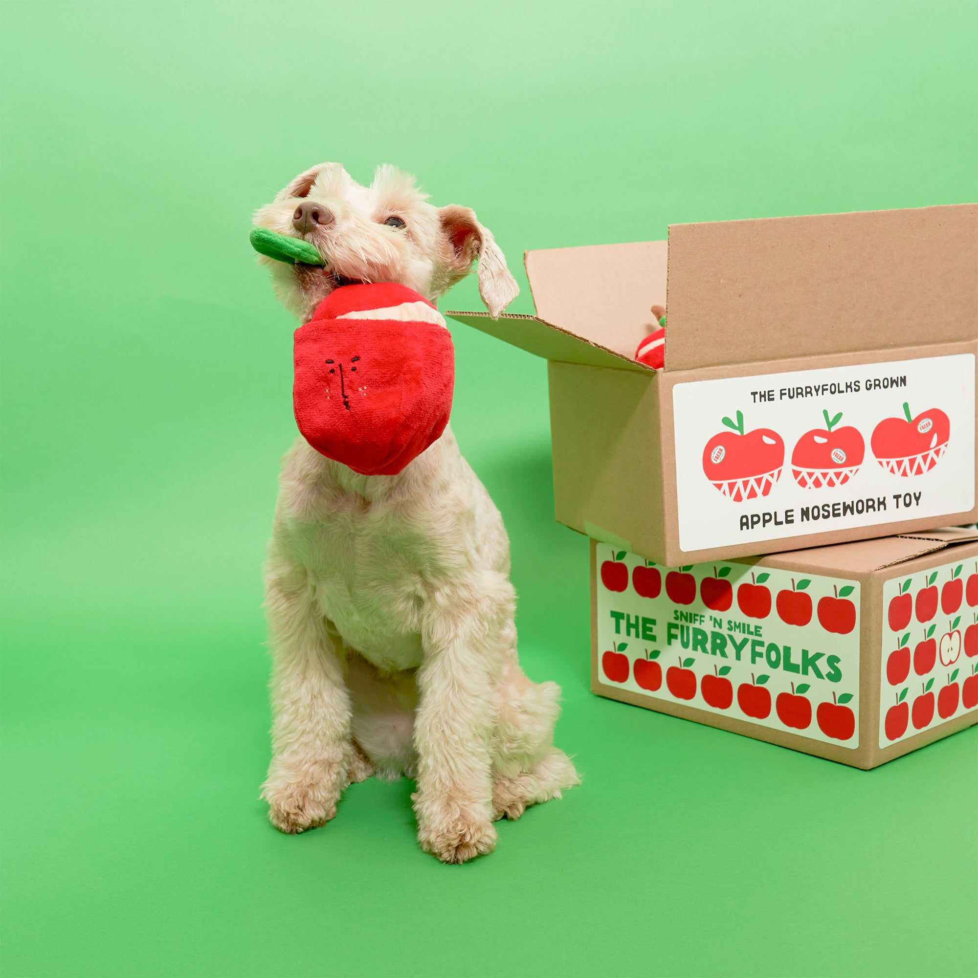 A white dog sitting on a green background, playfully biting a red apple-shaped dog toy with a green leaf, next to a cardboard box labeled "The Furryfolks Grown Apple Nosework Toy".