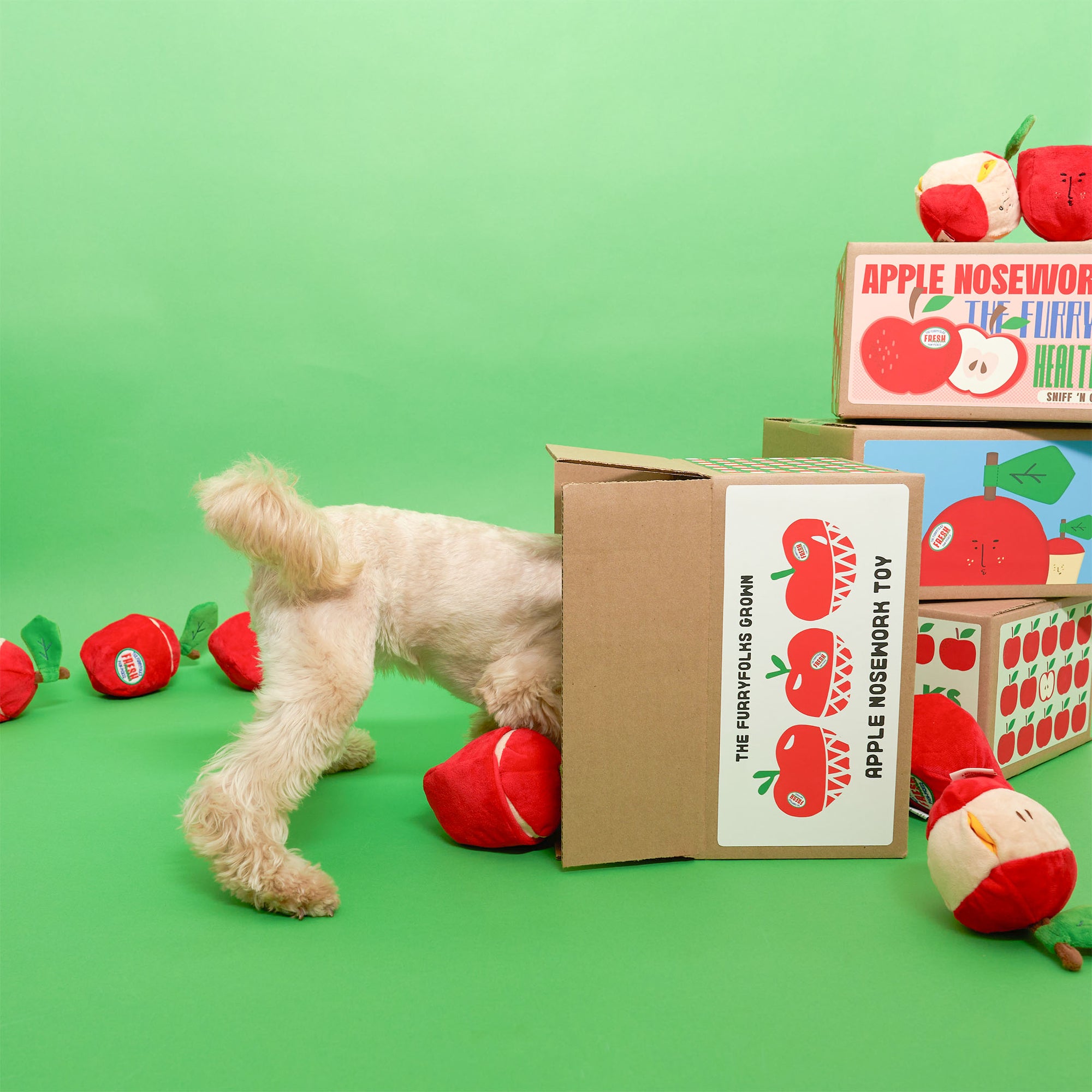 A white dog with its head in a cardboard box amidst several red apple-shaped dog toys scattered on a green background, with one toy featuring a partial white design. The box is labeled with "The Furryfolks Groin Apple Nosework Toy".