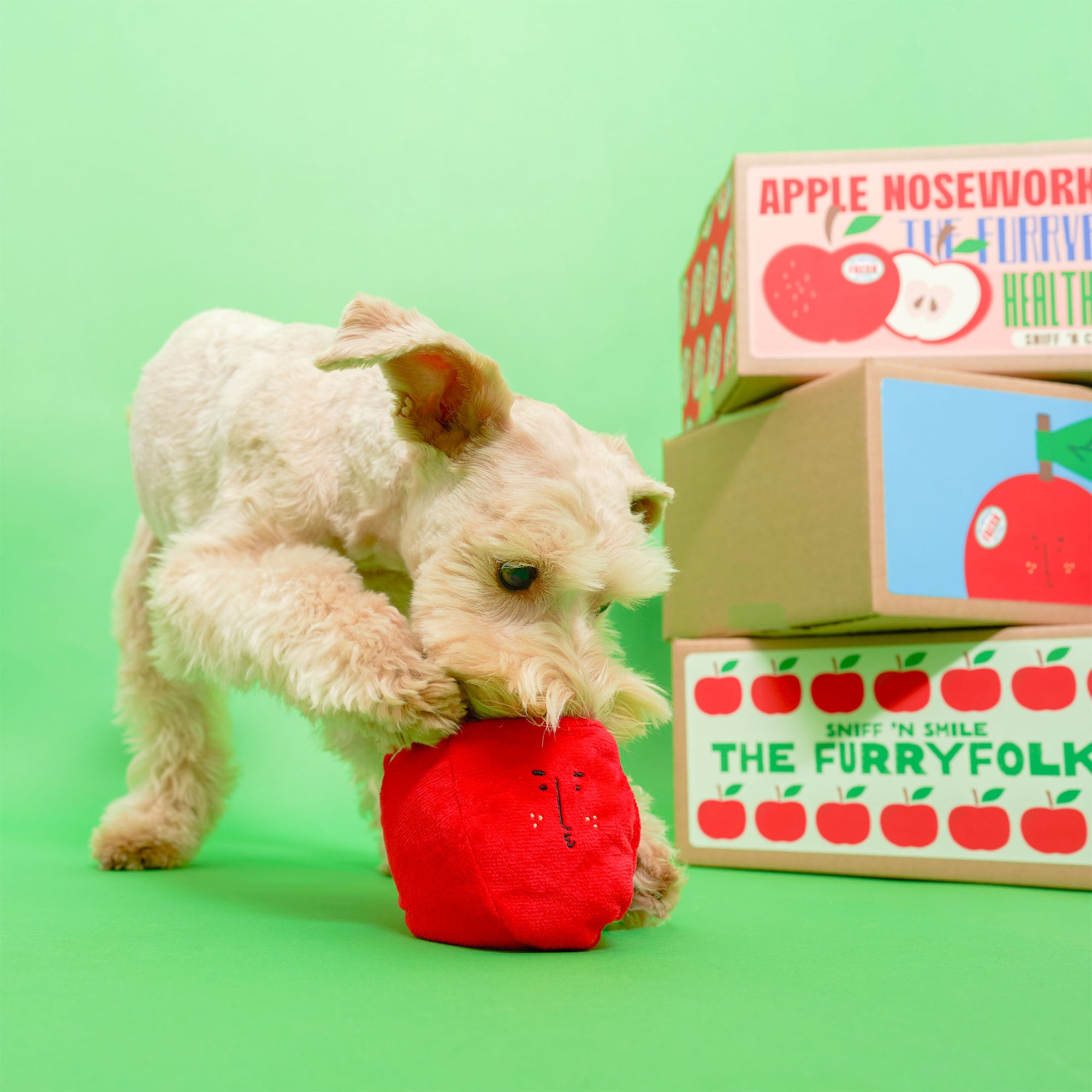 A white dog engaging with a red apple-shaped dog toy on a green background, with a cardboard box in the background labeled "Apple Nosework Toy by The Furryfolks".
