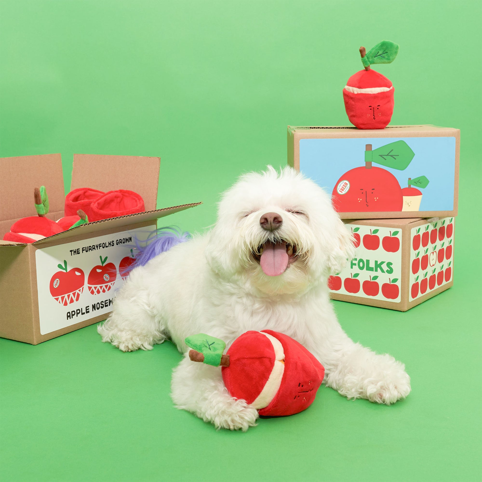 A joyful white dog with a blue accessory lying down on a green background, with a red apple-shaped dog toy in front, and cardboard boxes with more apple toys and a label saying "The Furryfolks Grown Apple Nosework Toy".