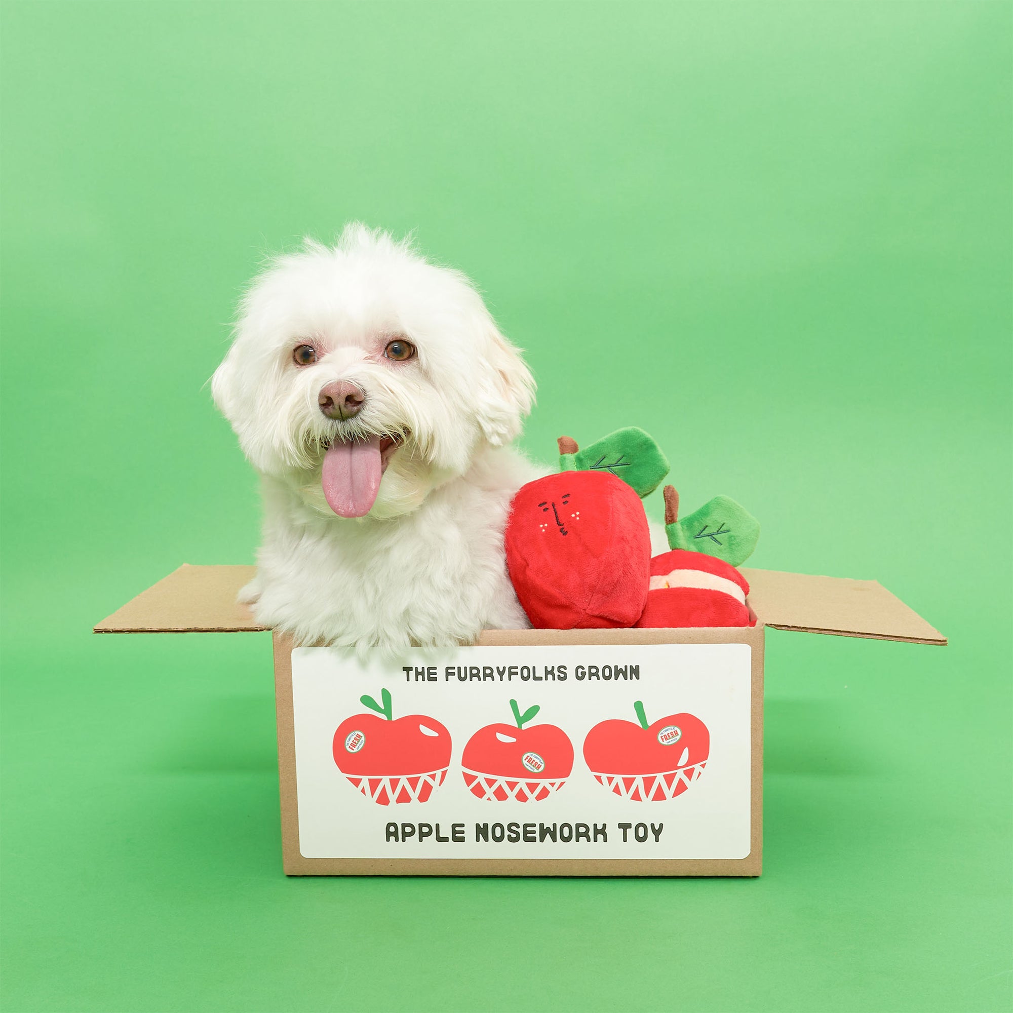  A smiling white dog peeking out of a cardboard box on a green background with red apple-shaped dog toys, labeled "The Furryfolks Grown Apple Nosework Toy".