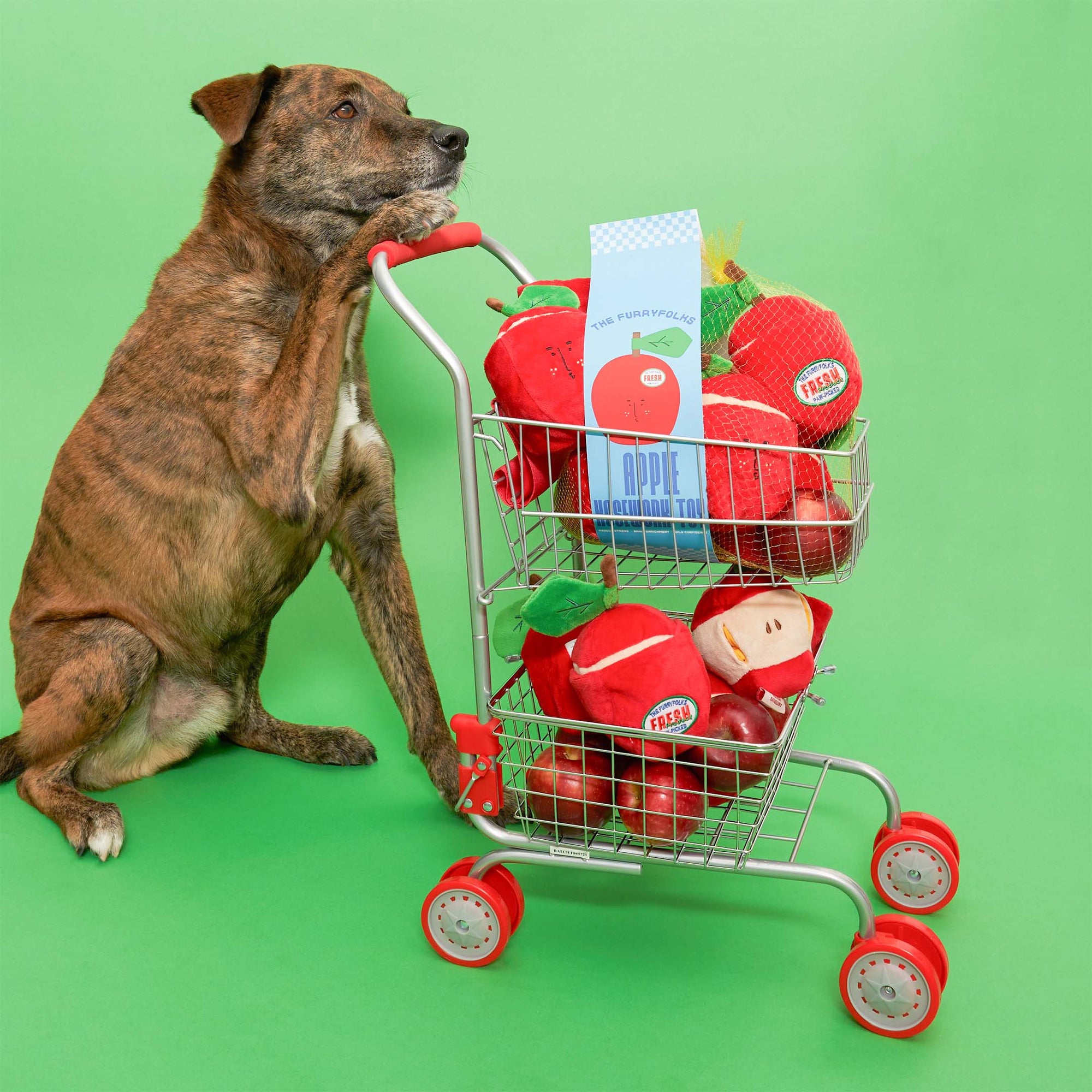 A brown dog standing beside a shopping cart filled with red apple-shaped dog toys and a label saying "The Furryfolks Apple Nosework Toy" on a green background.
