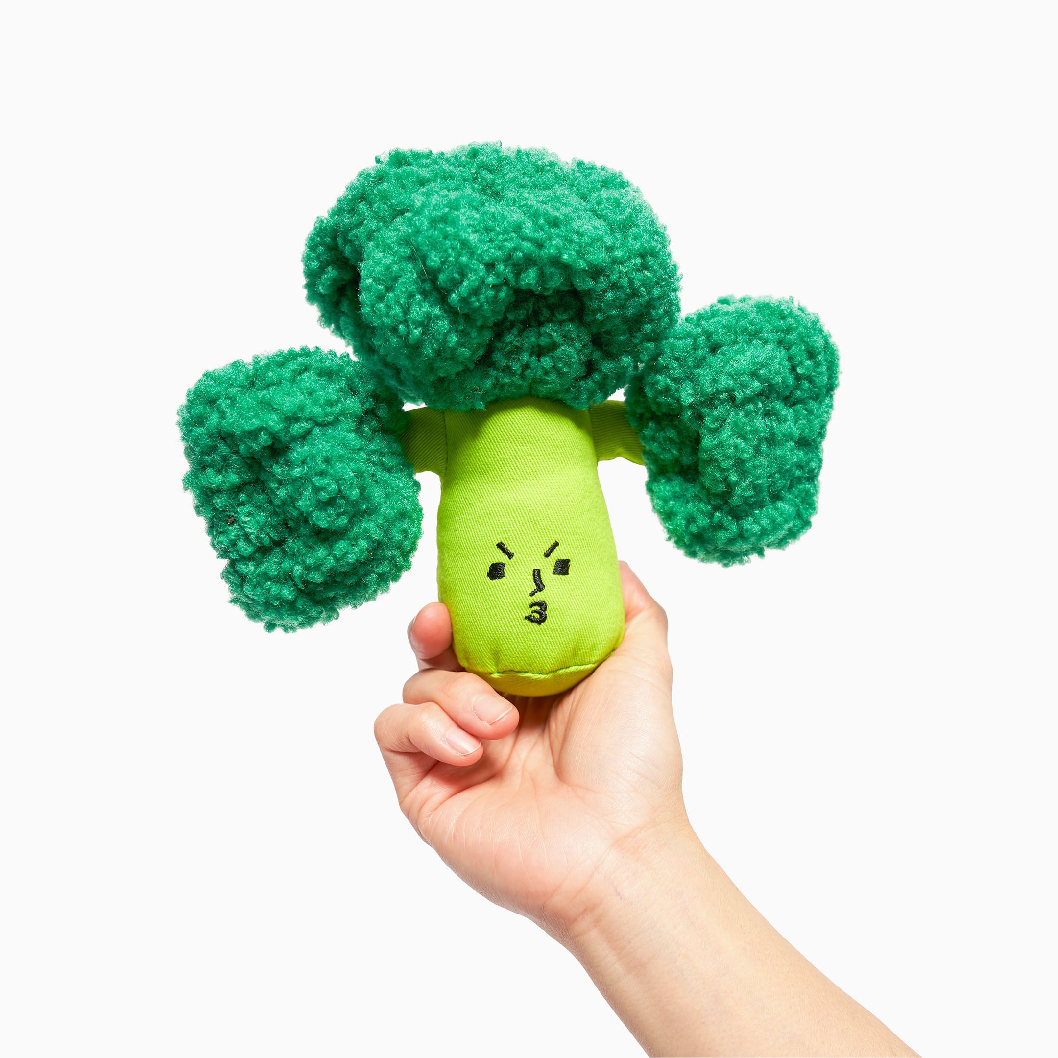 Hand holding a green broccoli-shaped dog toy with a cute face.