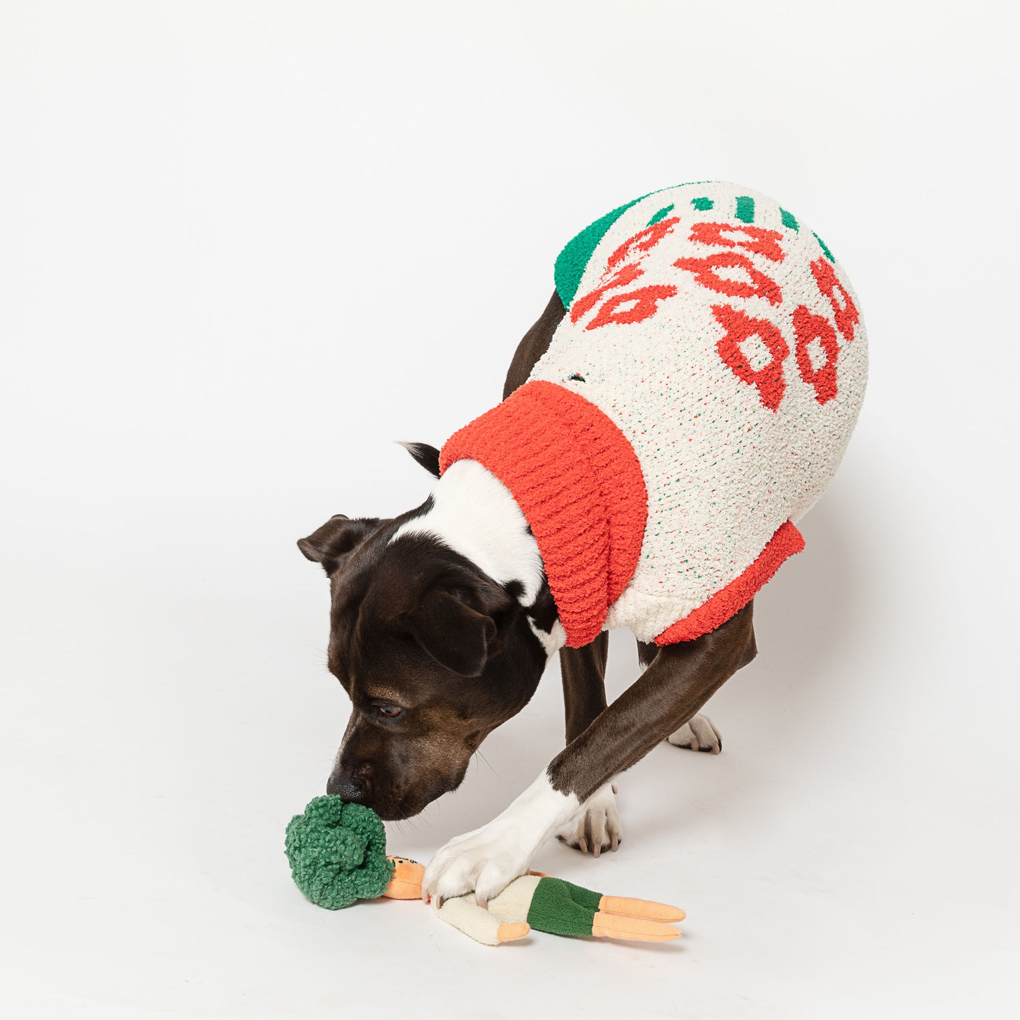 The image captures a brown dog with white patches, clad in a festive red and white sweater, interacting with a green-haired doll-shaped nosework toy. The dog is attentively sniffing or biting the toy, demonstrating how it engages with the toy's features, potentially searching for treats inside. The neutral white background ensures the focus remains on the dog and its interaction with the toy, highlighting the purpose of nosework toys in providing mental stimulation and entertainment for pets.