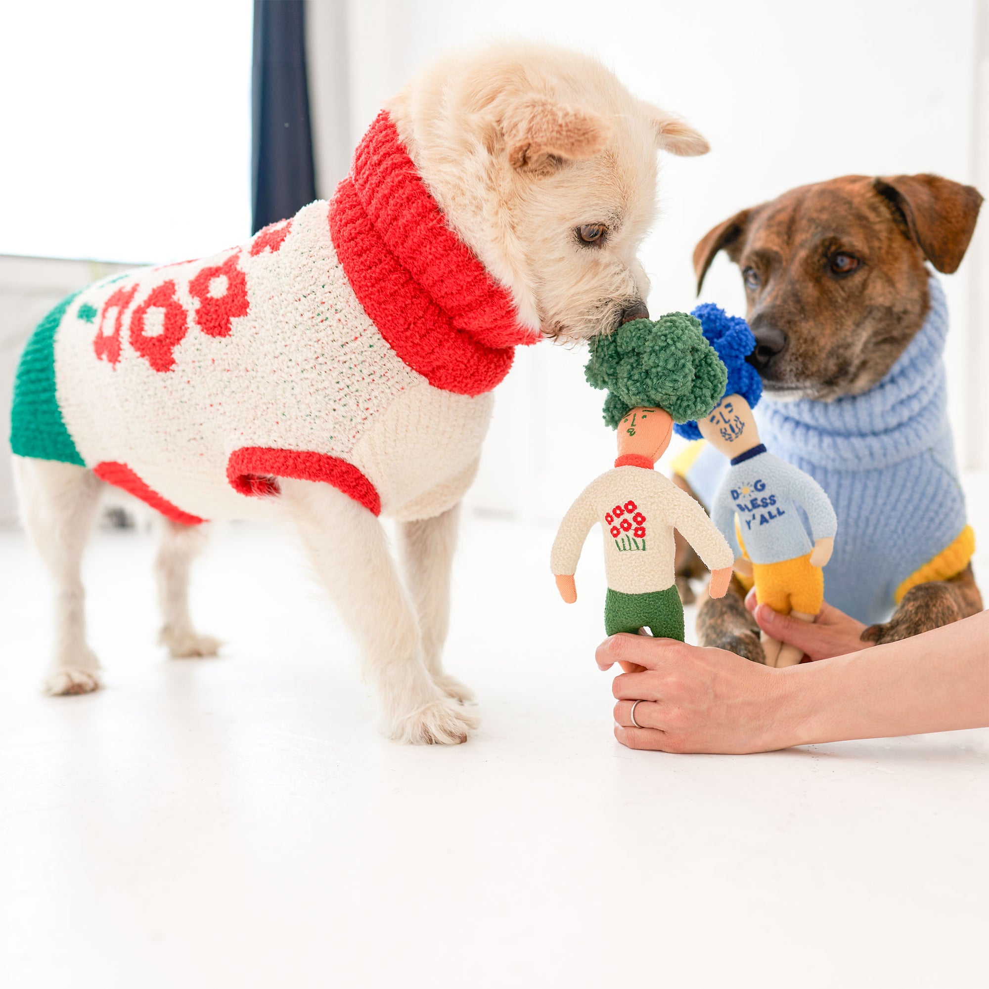  The photograph shows two dogs showing interest in two different nosework toys being held by a person. The dog on the left, clad in a red and white sweater, is sniffing a green-haired toy, while the dog on the right, wearing a blue sweater, looks at a blue-haired toy. The toys have distinctive, colorful designs, and this setting likely aims to engage the dogs' sense of smell and problem-solving skills in a bright, airy environment.