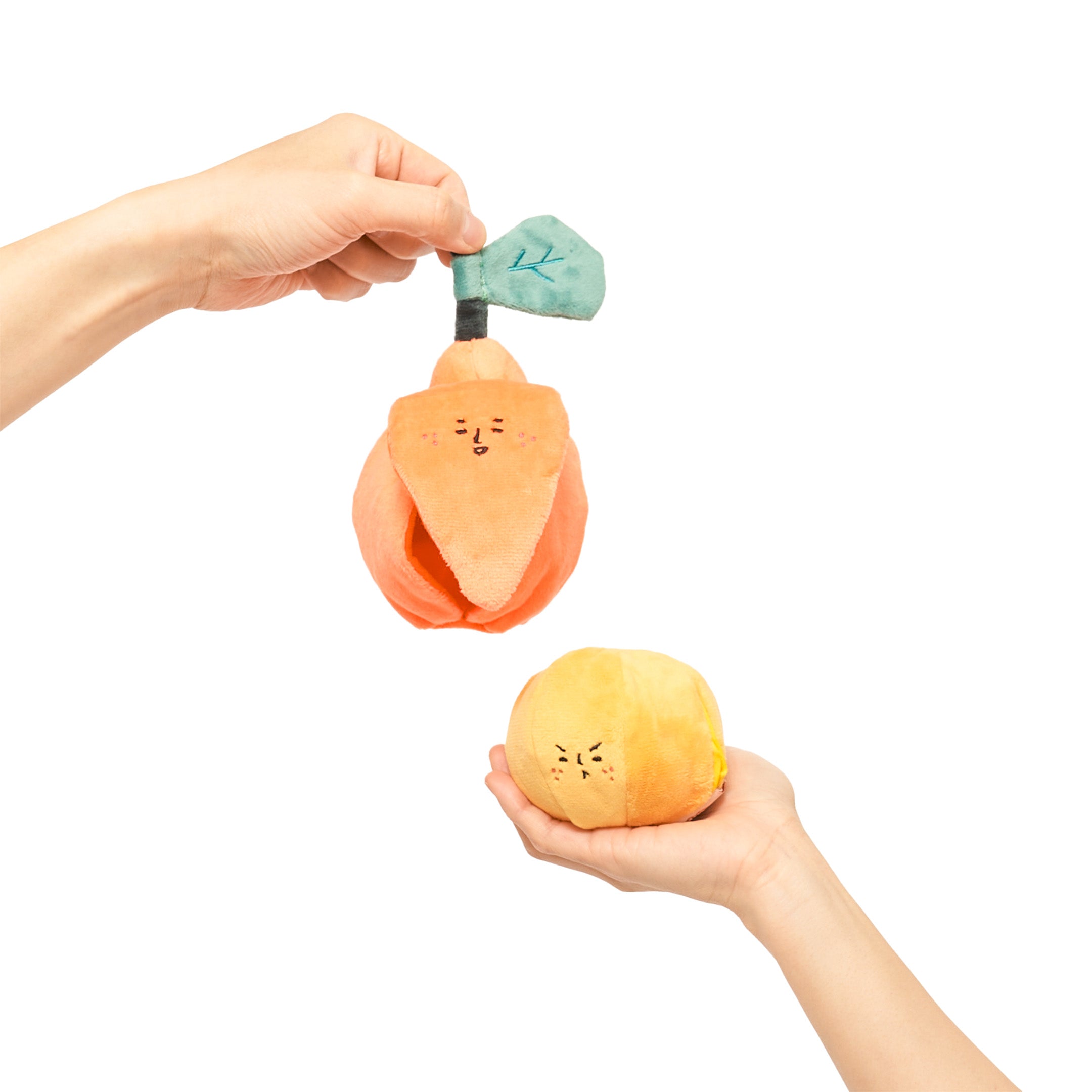 Two hands holding parts of an orange-shaped dog toy; one hand holds the top with the teal stem, and the other hand holds the bottom part, on a white background.