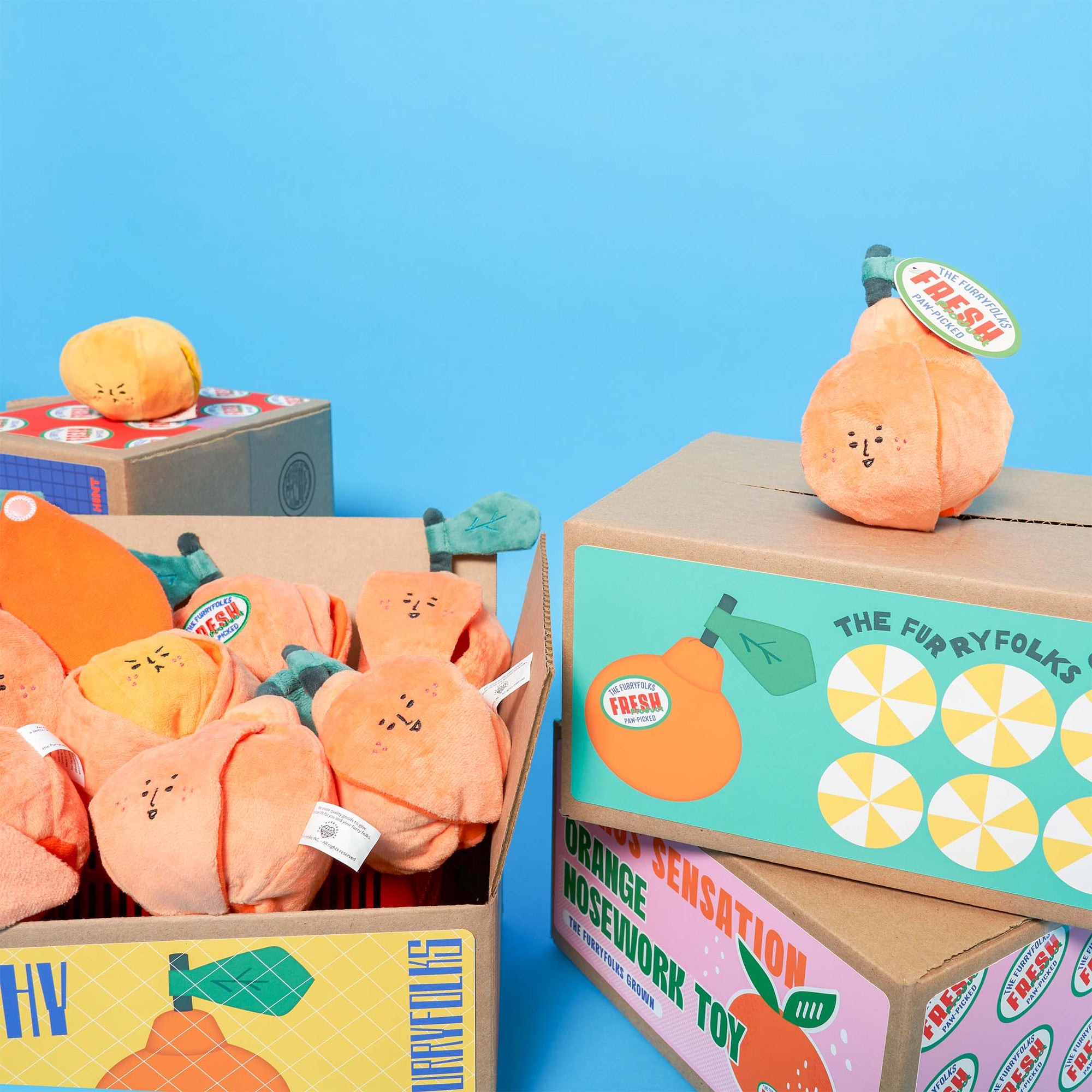 Cardboard boxes filled with orange-shaped dog toys are displayed against a blue background. One box has "Healthy" written on it, and another is labeled "Citrus Sensation Orange Nosework Toy by The Furryfolks Grown," indicating a focus on playful, healthy pet products.