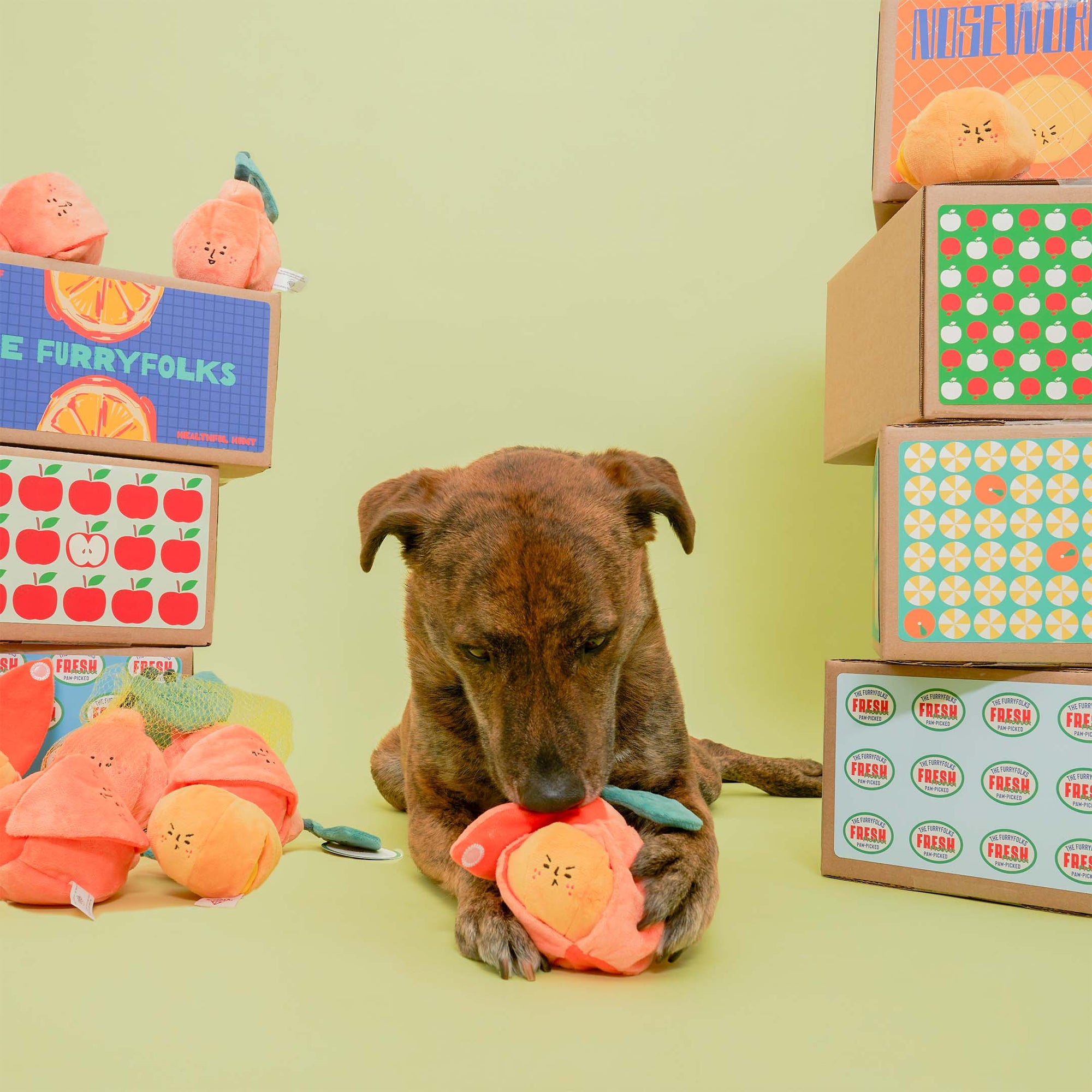 A brown dog is examining an orange-shaped dog toy on a greenish-yellow background. Stacked boxes labeled "The Furryfolks Orange Nosework Toy" surround it, indicating a focus on playful and healthy pet activities.