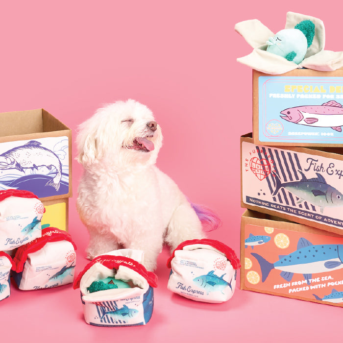 White dog with fish-themed products on a pink background