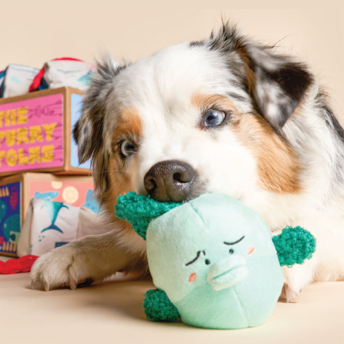 Dog playing with a green plush toy on a beige surface