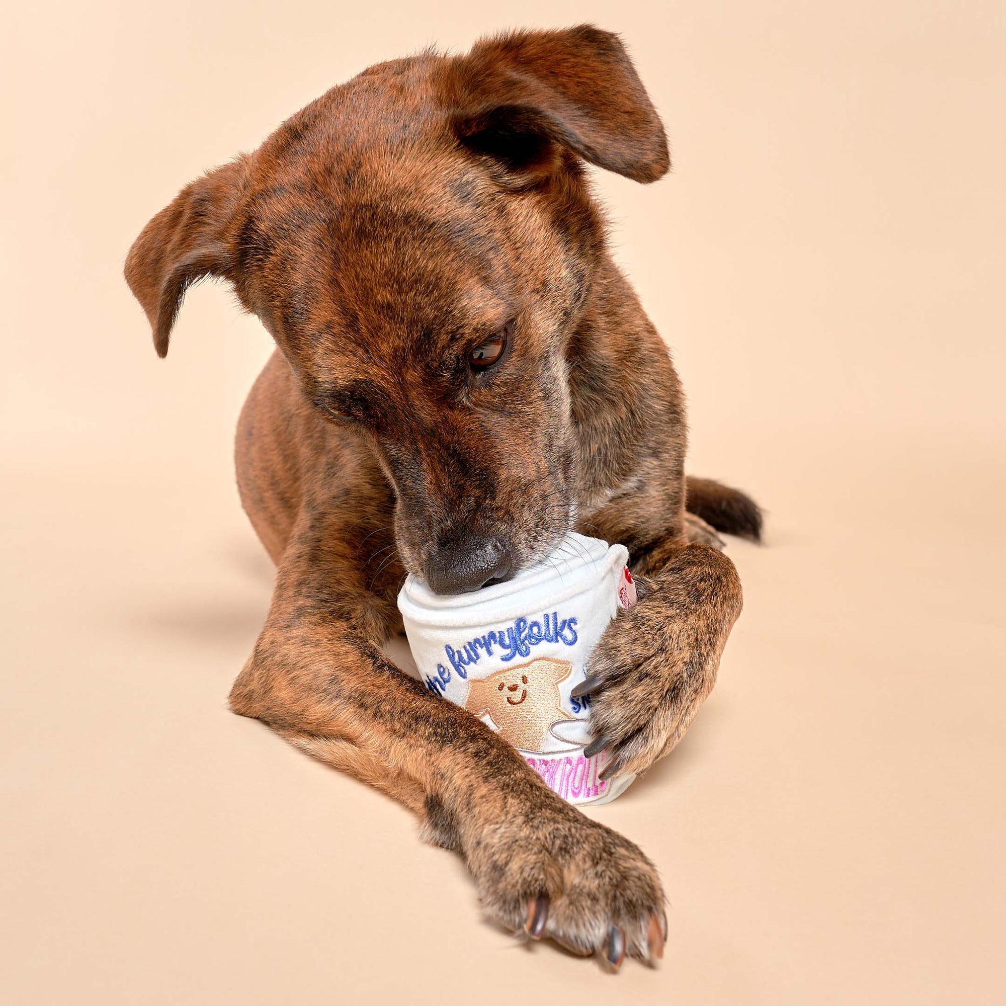 The photo captures a brindle dog closely inspecting a plush toy, which is embroidered with "The Furryfolks" branding. The toy, likely a playful and stimulating product for pets, is held between the dog's paws, suggesting a moment of playful interaction. The beige backdrop focuses attention on the dog's engaging activity with the toy.