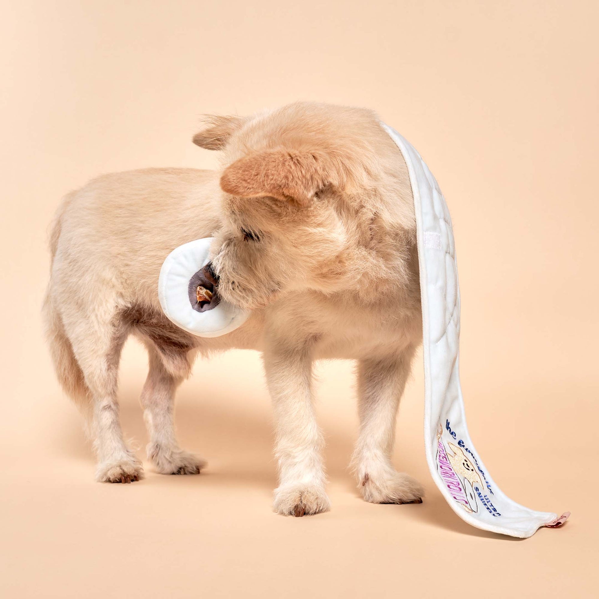 The photograph depicts a light-furred dog sniffing inside a white snuffle mat toy with "The Furryfolks" branding visible. The toy is designed with compartments for hiding treats, providing the dog with a playful challenge. The mat is laid out on a beige background, emphasizing the interaction between the dog and the toy.