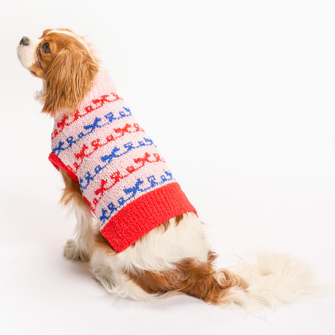 Brown and white dog sitting sideways, wearing a pink knit sweater with red and blue stripe patterns and a red hem