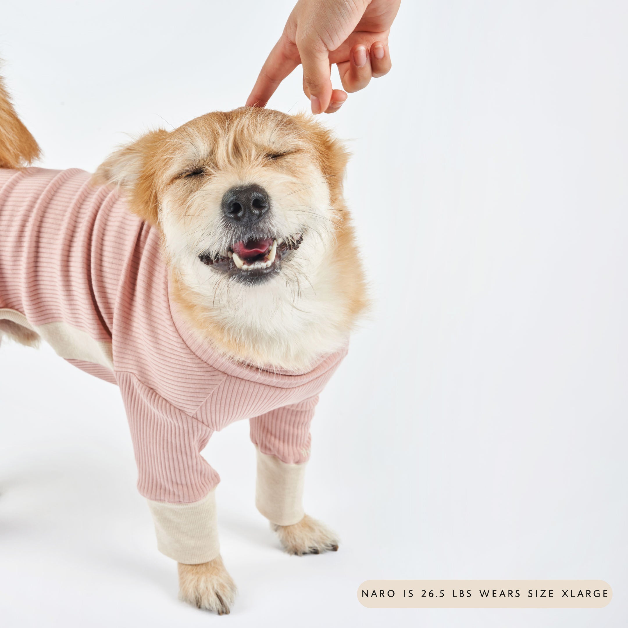 A happy dog in a pink ribbed dog onesie with cream cuffs, receiving a head pat and smiling with eyes closed, labeled with weight and size.