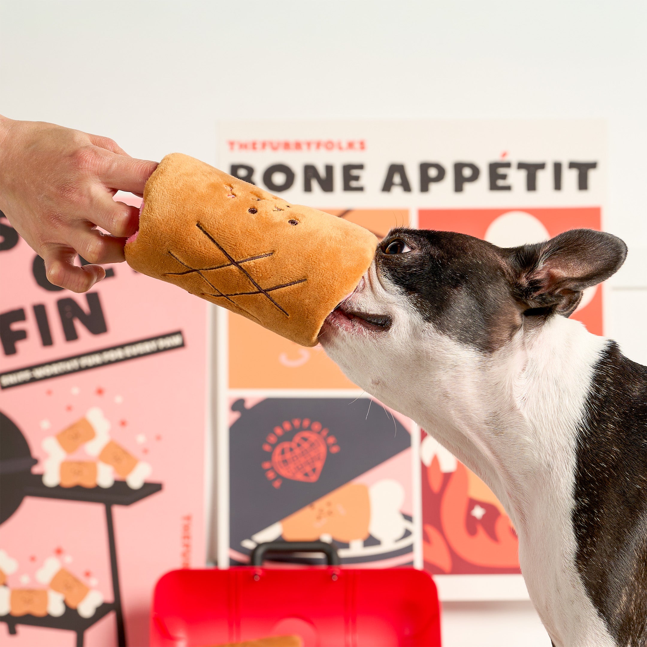 Dog playing with a bone-shaped toy in front of a 'Bone Appetit' sign.
