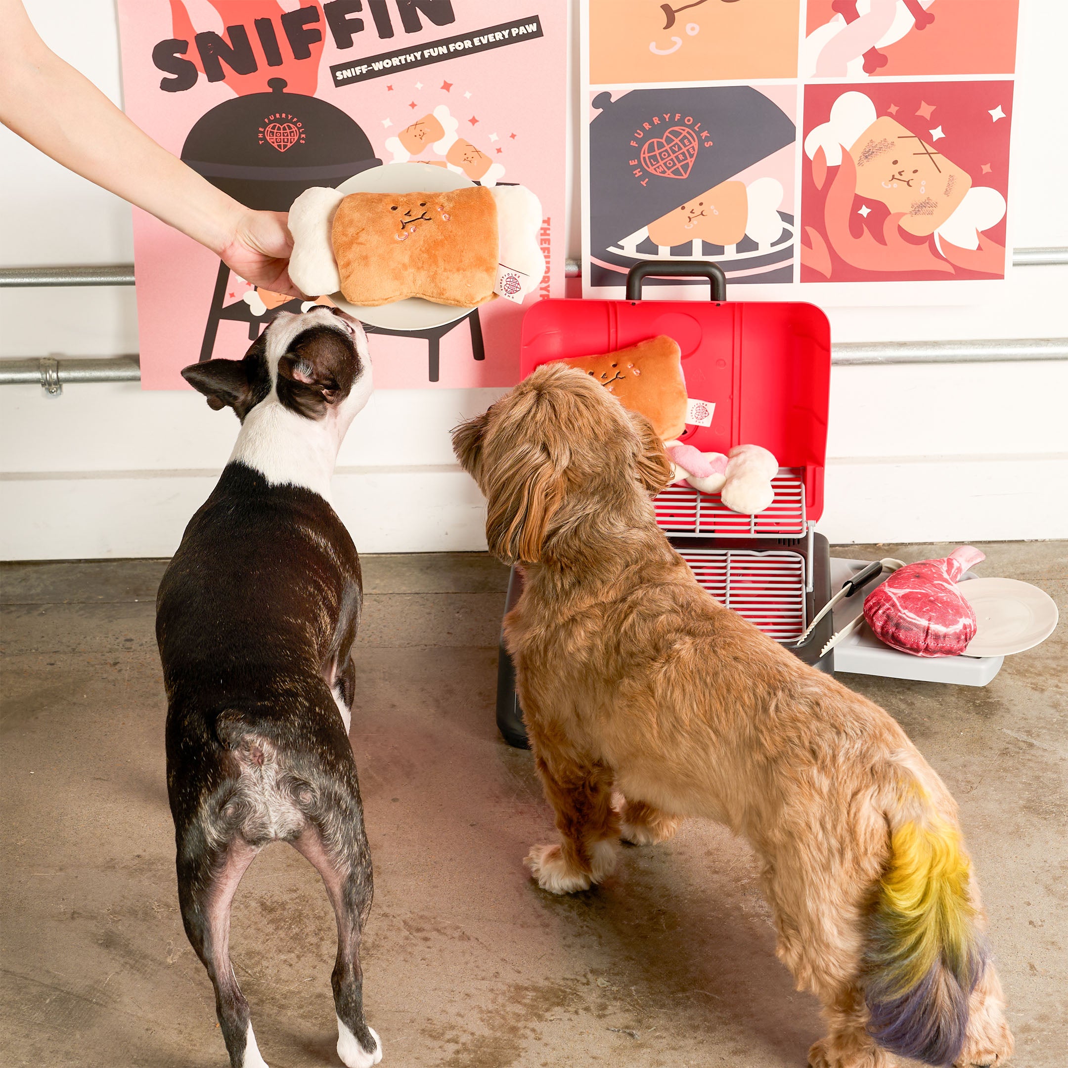 Two dogs looking at a red pet carrier with a toy inside, against a pink wall with posters.