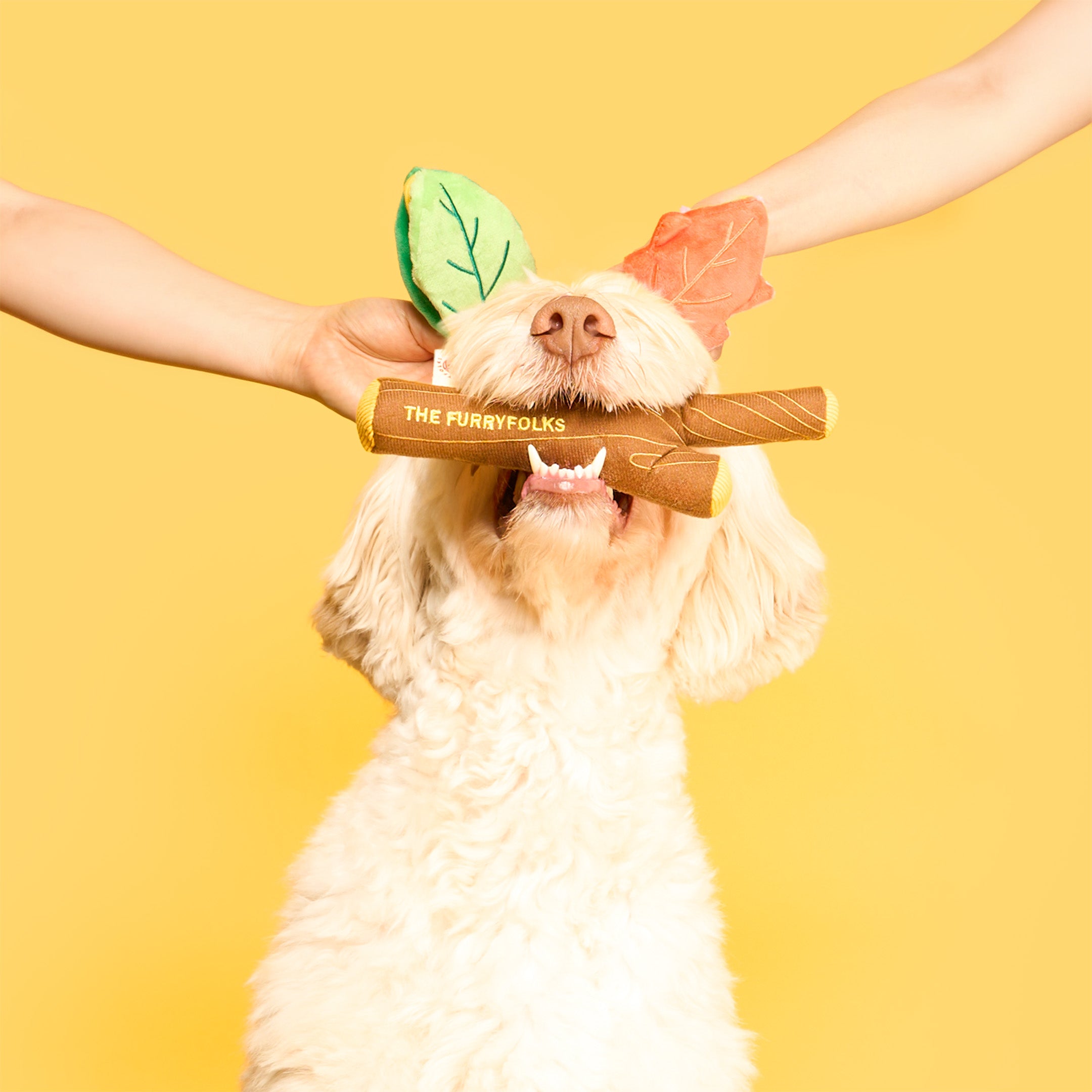 Dog holding a chew toy with 'The Furry Folks' branding against a yellow background