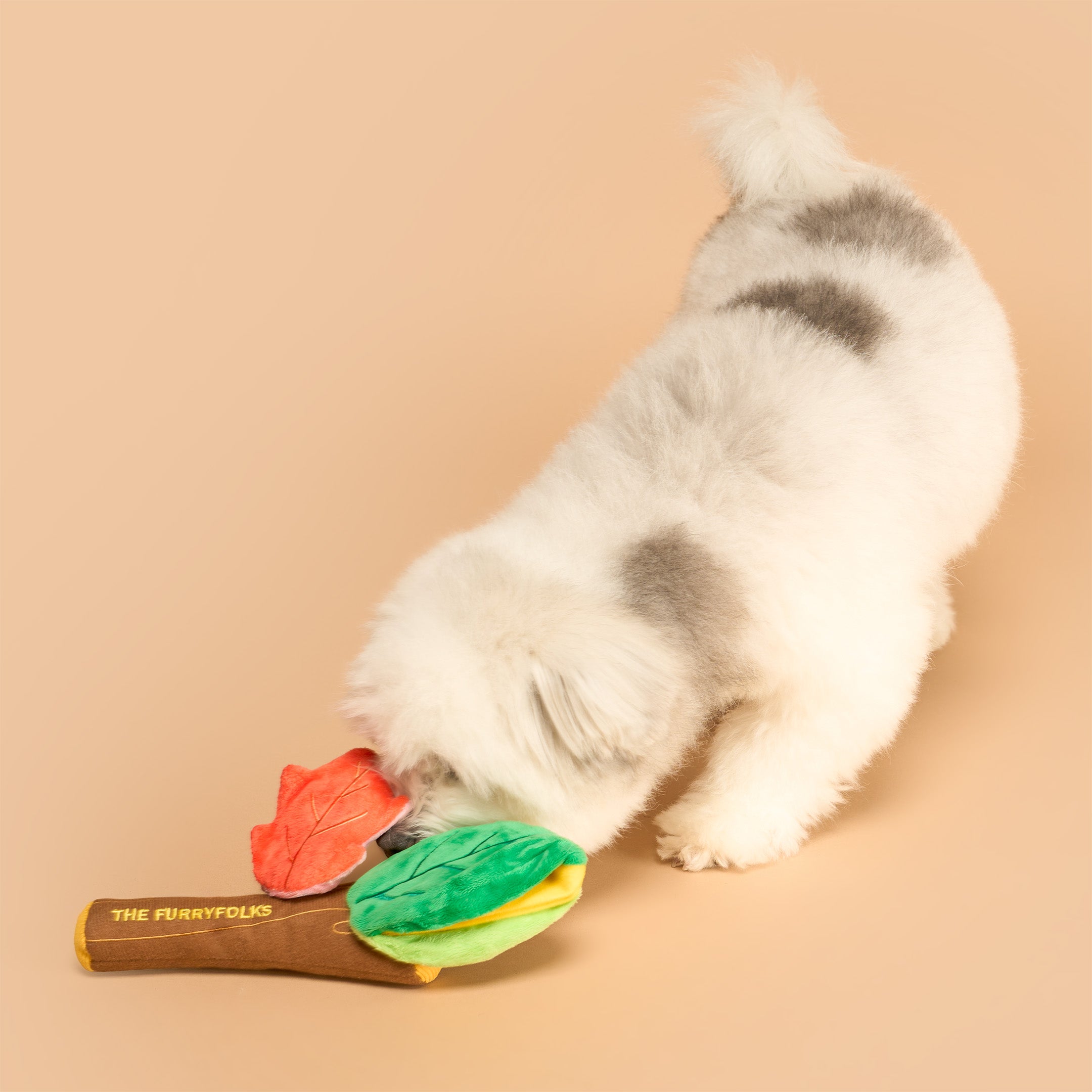 Small dog playing with a chew toy on a beige background