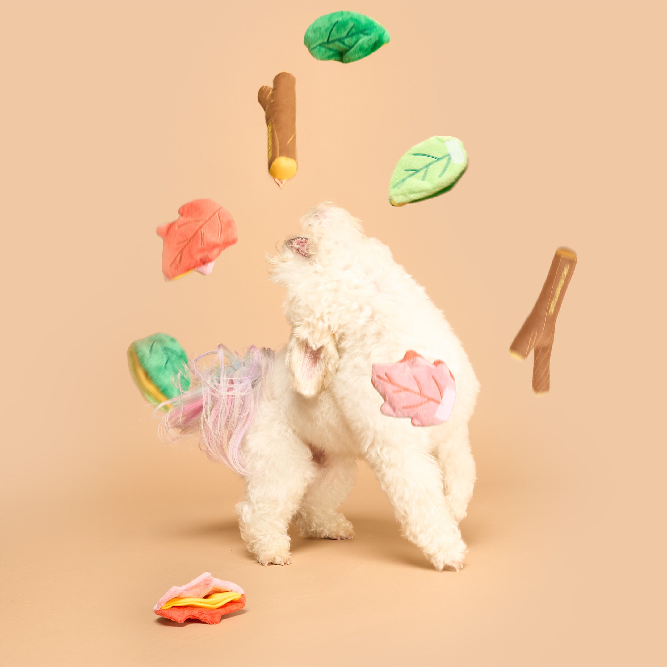White dog with colorful leaf-shaped toys on a beige background