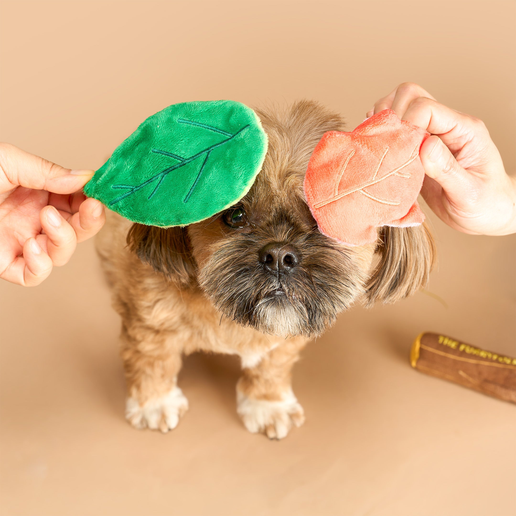 Small dog wearing leaf-shaped toys on a beige background