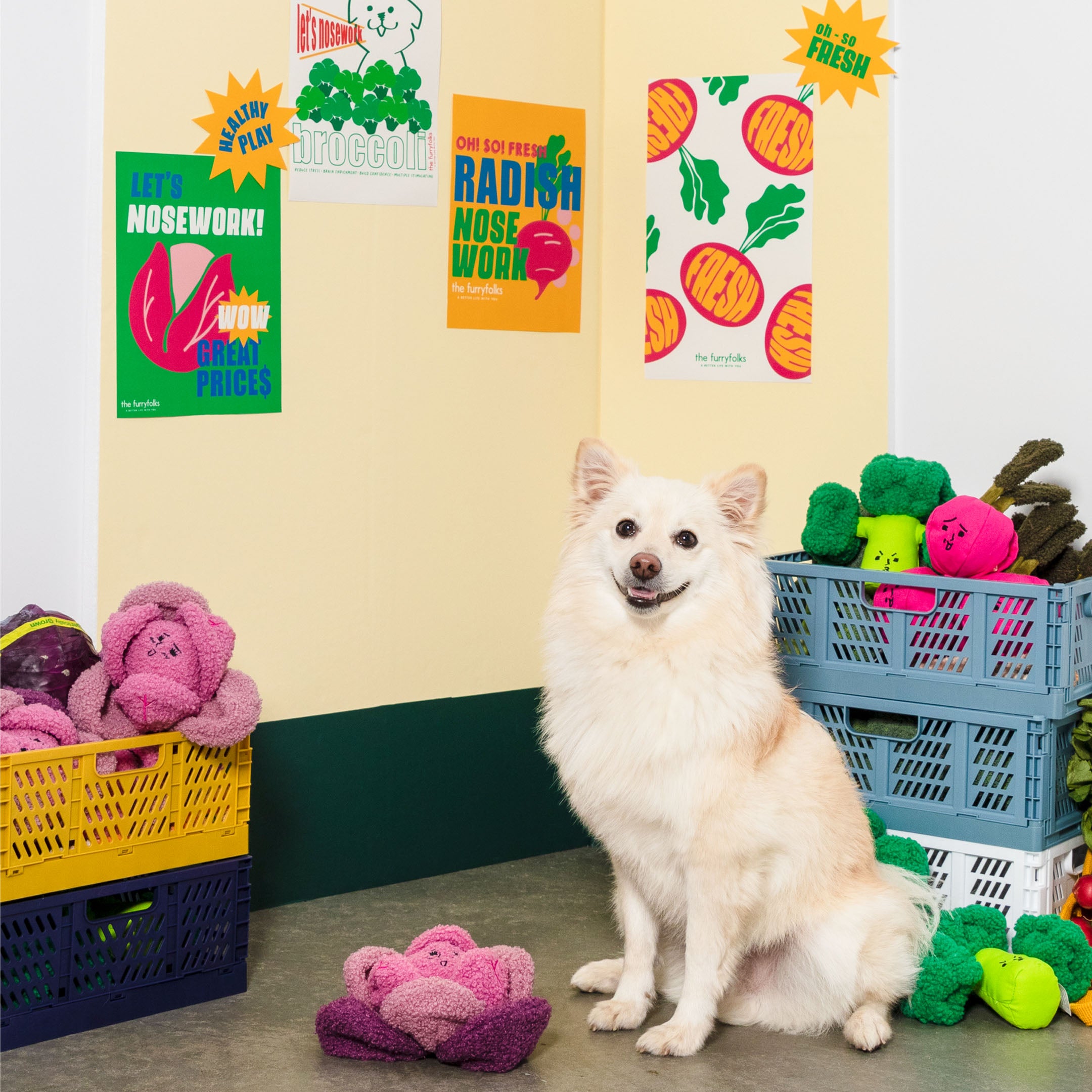 White dog sitting among colorful dog toys with a playful background