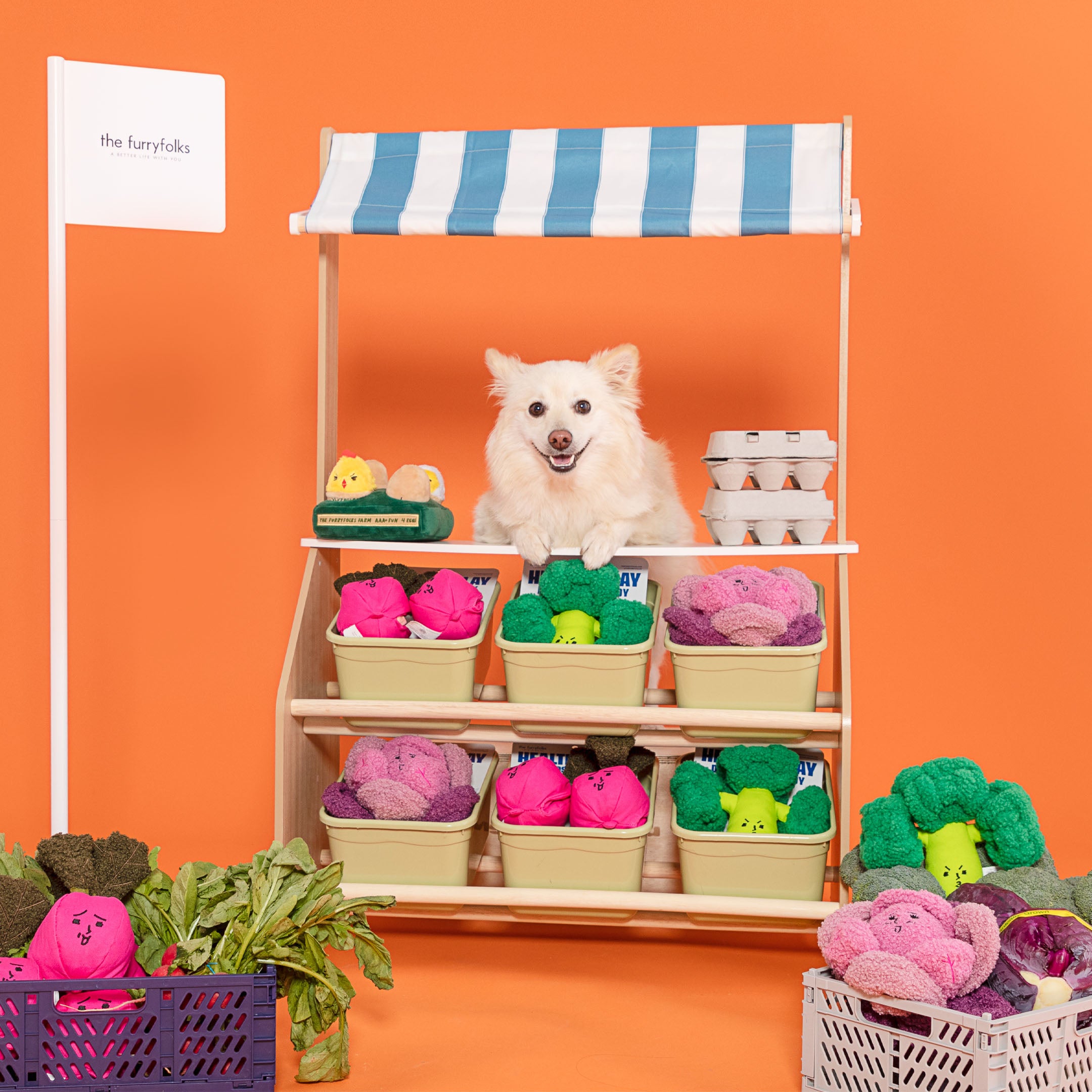 Broccoli Dog Toy | Nosework & Treat-Hiding | the furryfolks