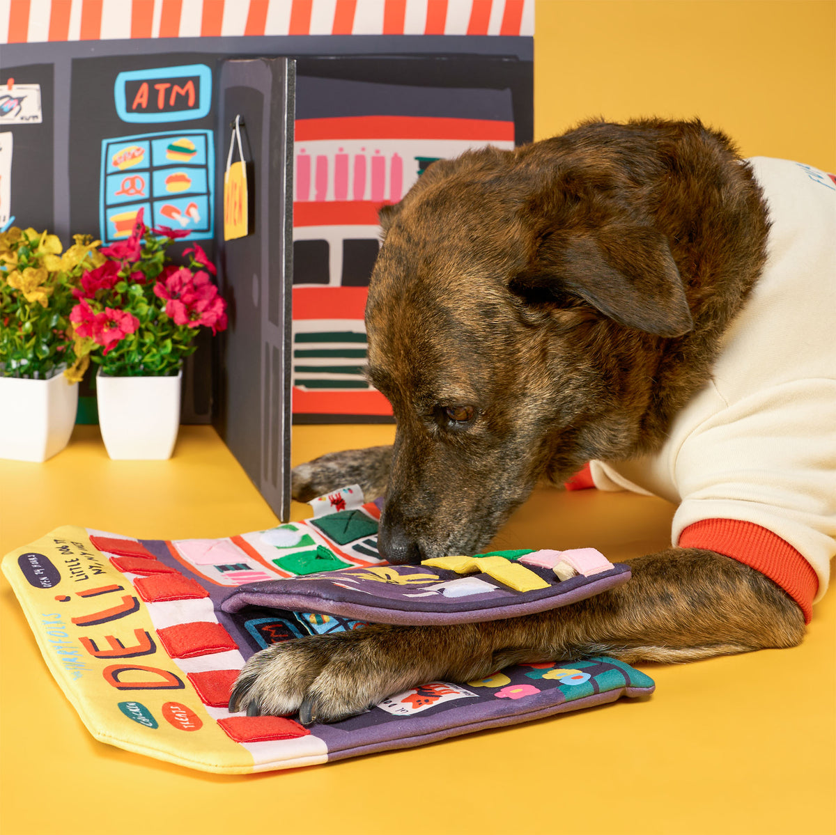 Brindle dog in a cream shirt sniffs the colorful treat loops of the open Deli Nosework mat, with its front paws resting across the mat.