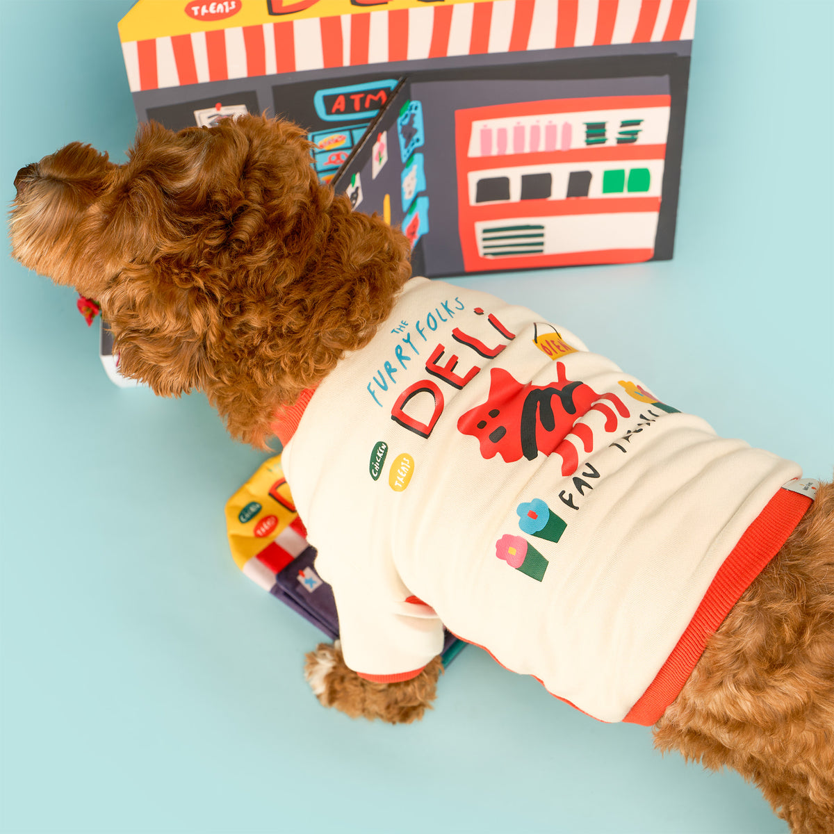 Overhead view of a curly-haired brown dog wearing a cream shirt with orange trim, “the furryfolks Deli” lettering, and colorful dog and flower graphics, beside a miniature deli backdrop on a pale blue floor.