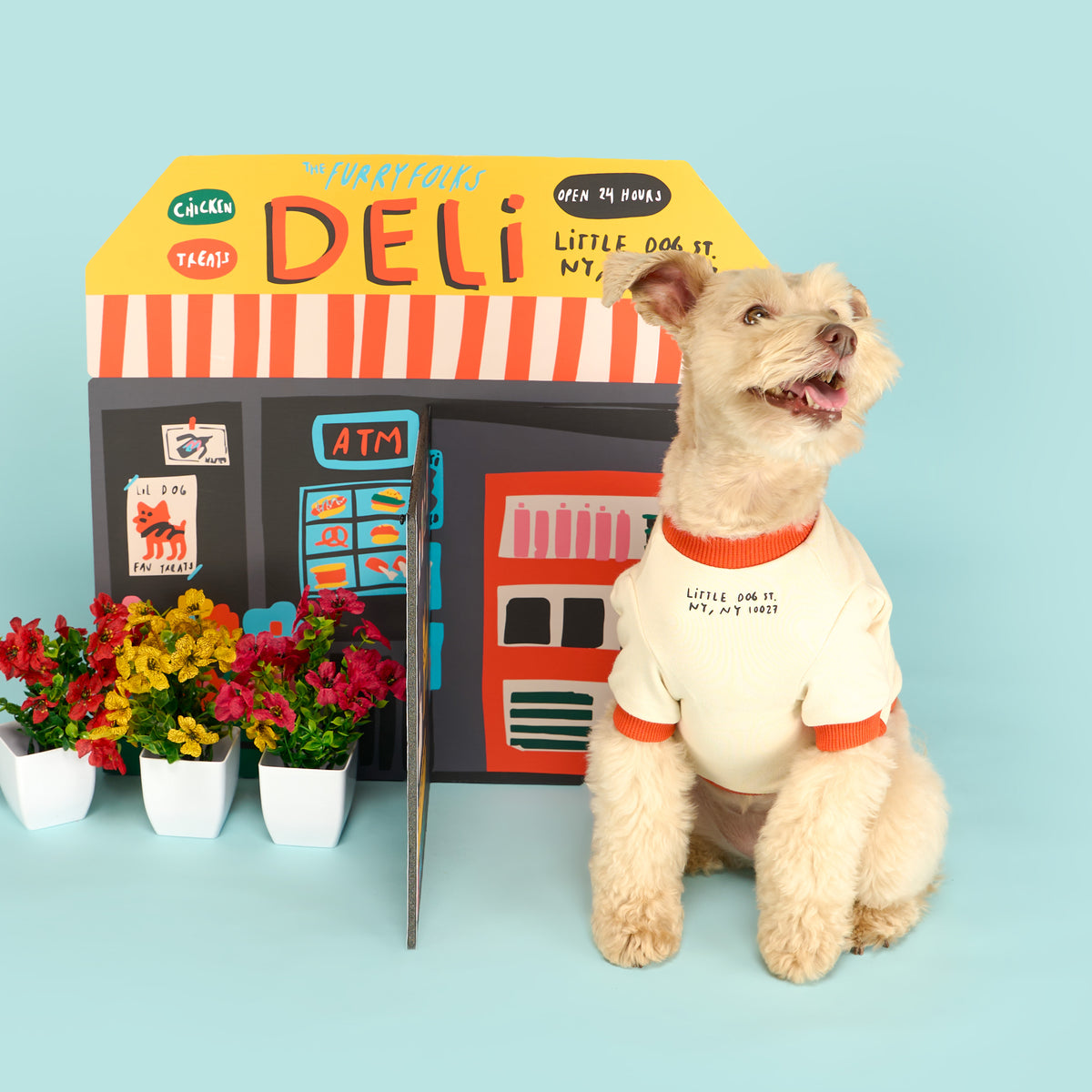 A scruffy tan dog wearing a cream shirt with orange trim sits beside colorful potted flowers in front of a playful “the furryfolks Deli” storefront backdrop on a pale blue background.